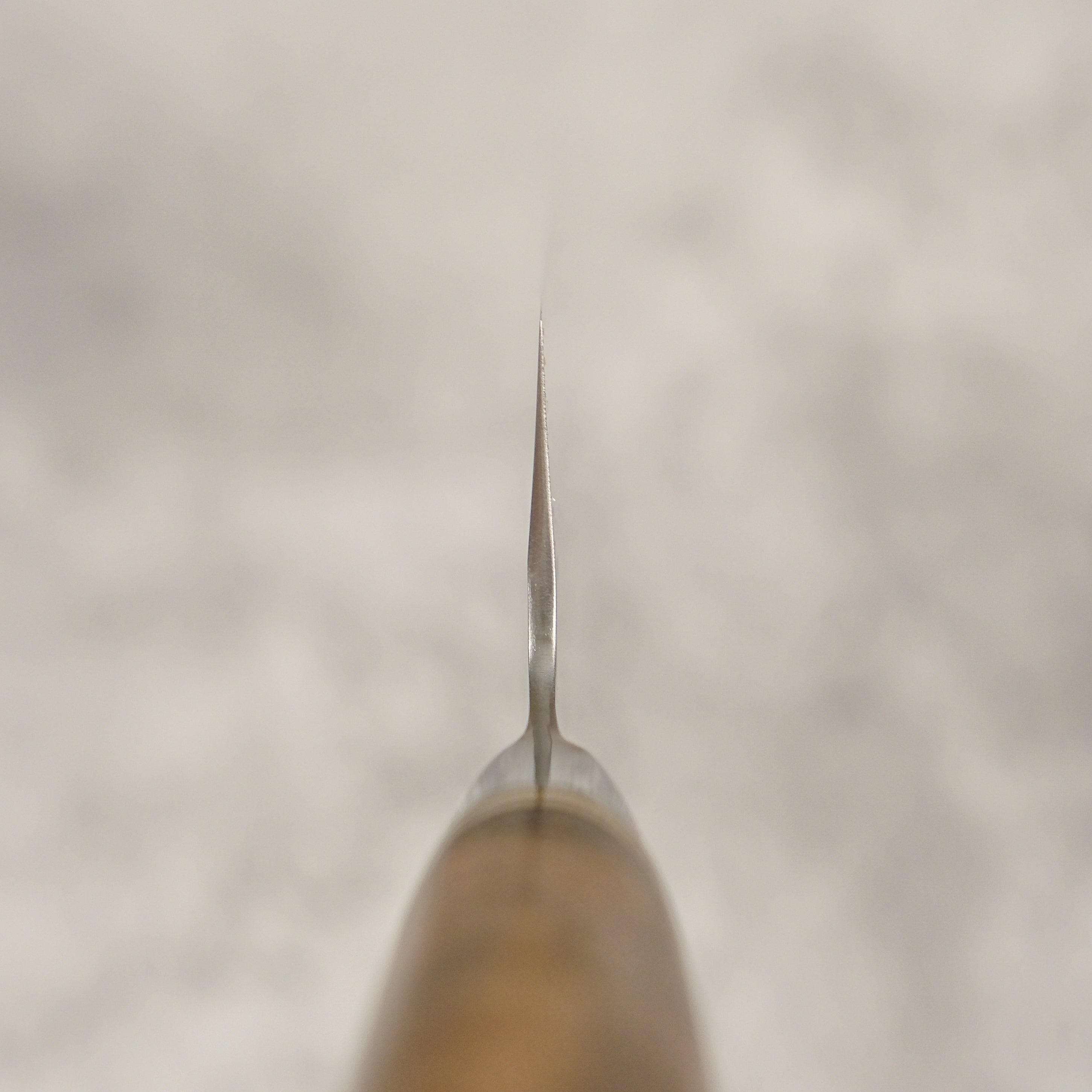 Takeshi Saji R2 Tsuchime Gyuto 210 mm