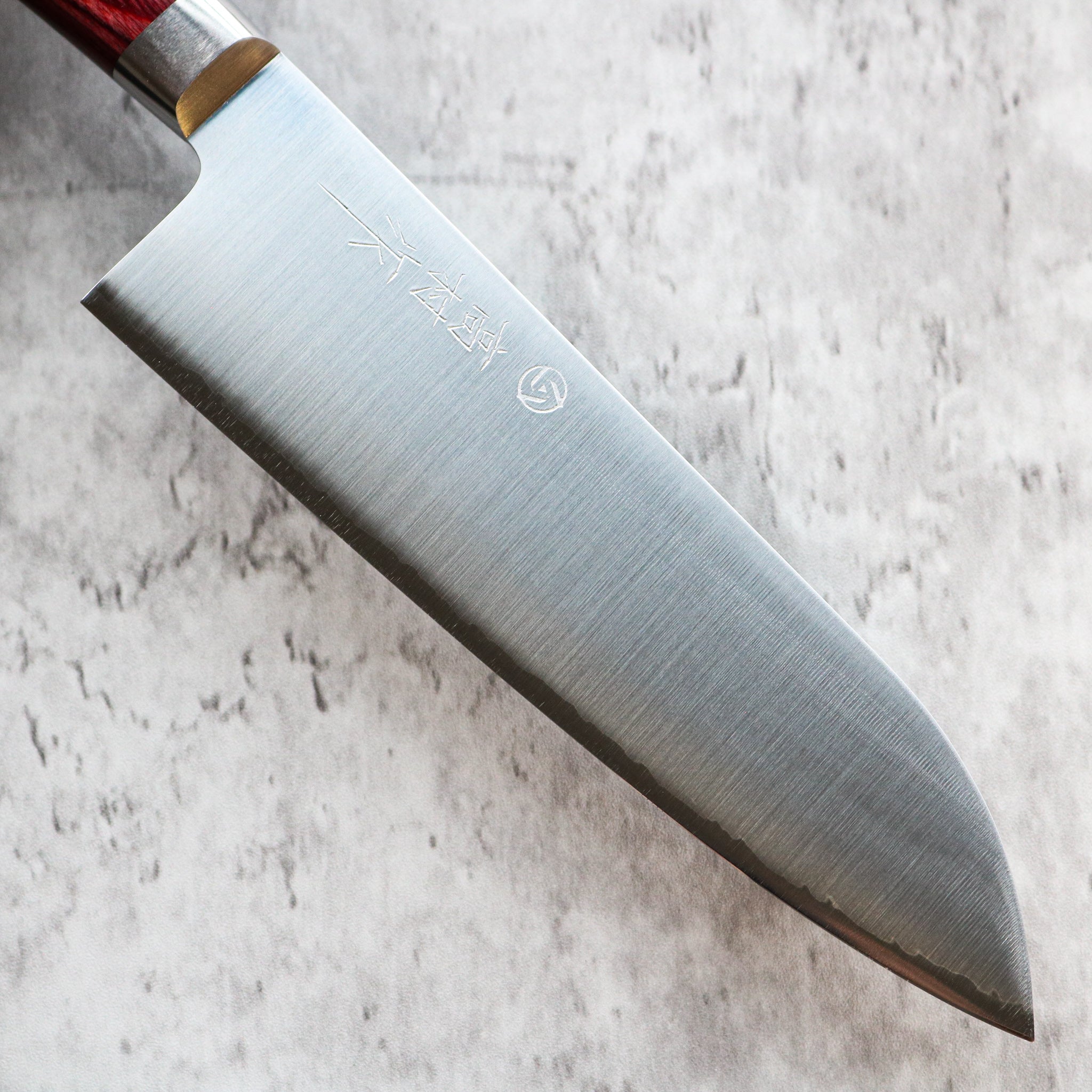 Takamura Hamono R2/SG2 Santoku 170 mm