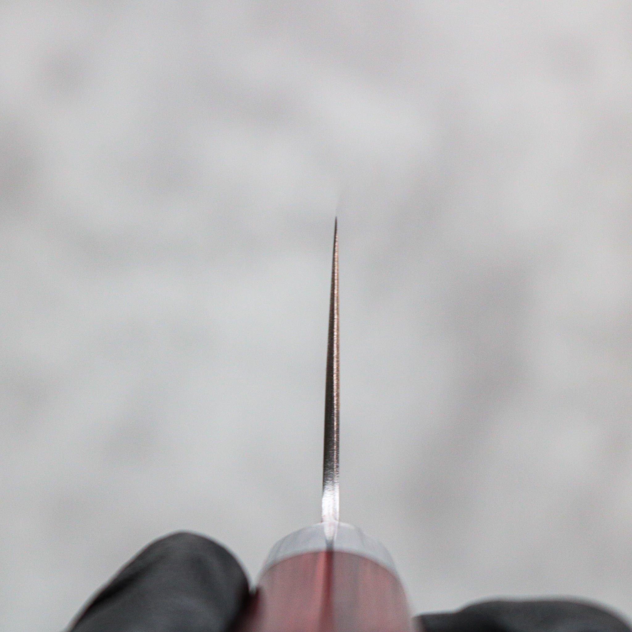 Takamura Hamono R2/SG2 Santoku 170 mm