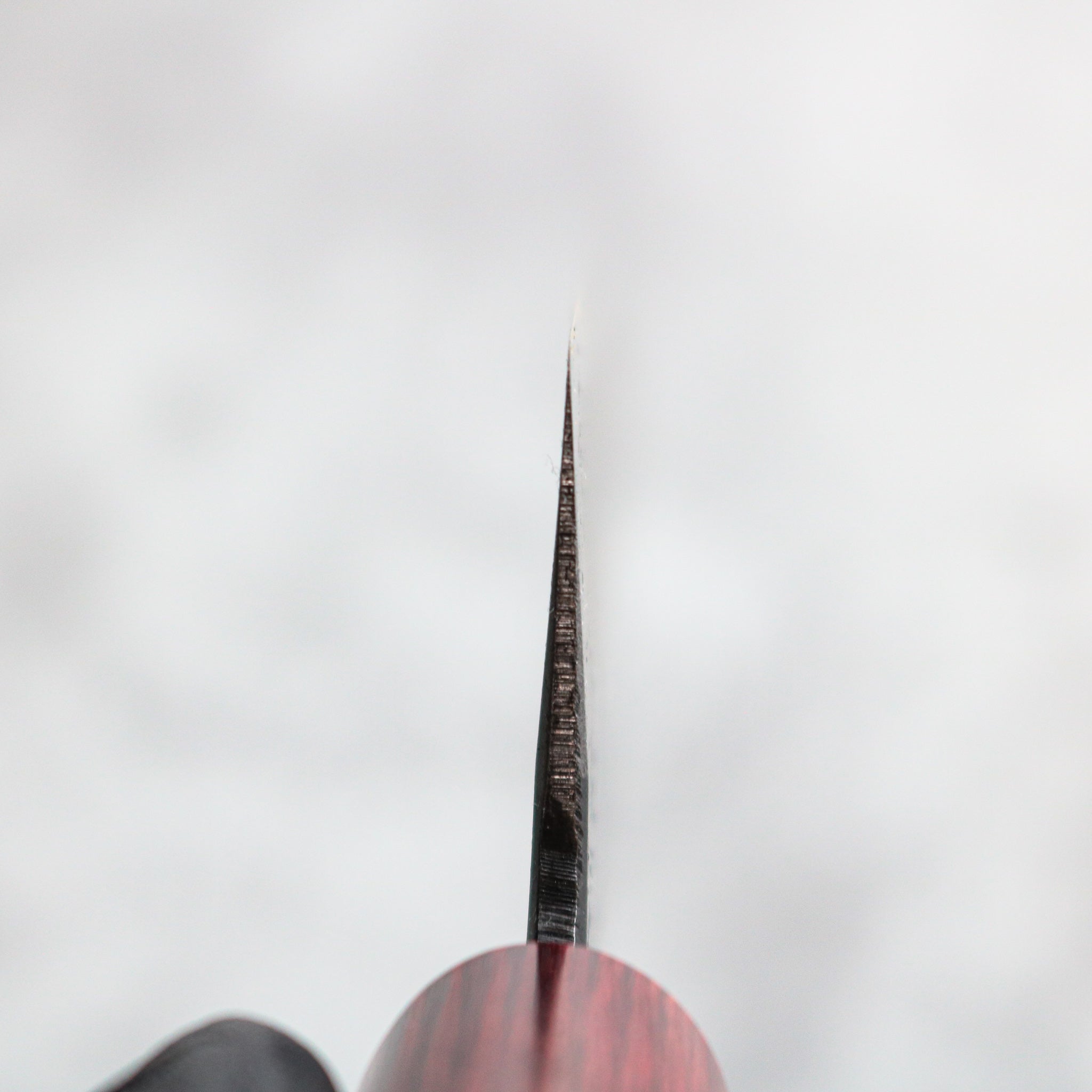 Muneishi Kurouchi Gyuto 210 mm