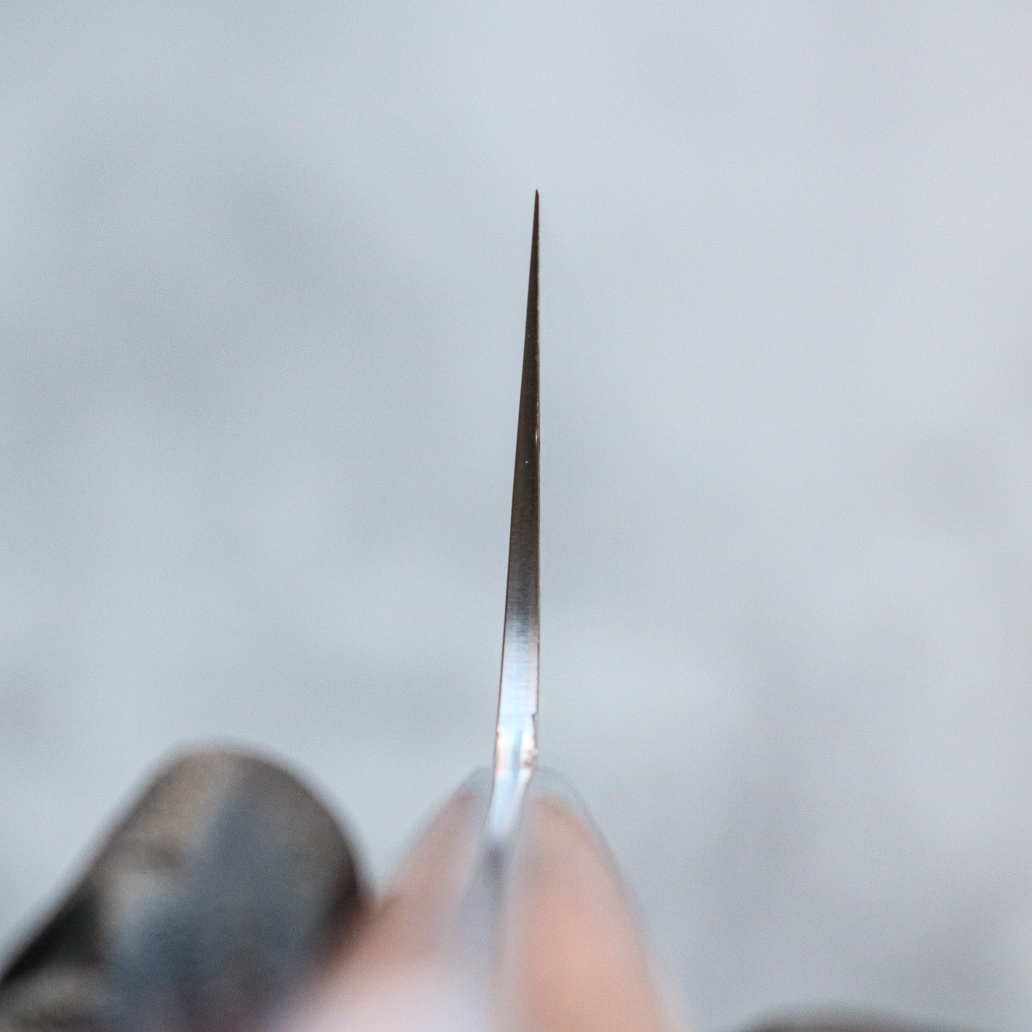 Takeshi Saji Rainbow Damascus Bunka 175 mm