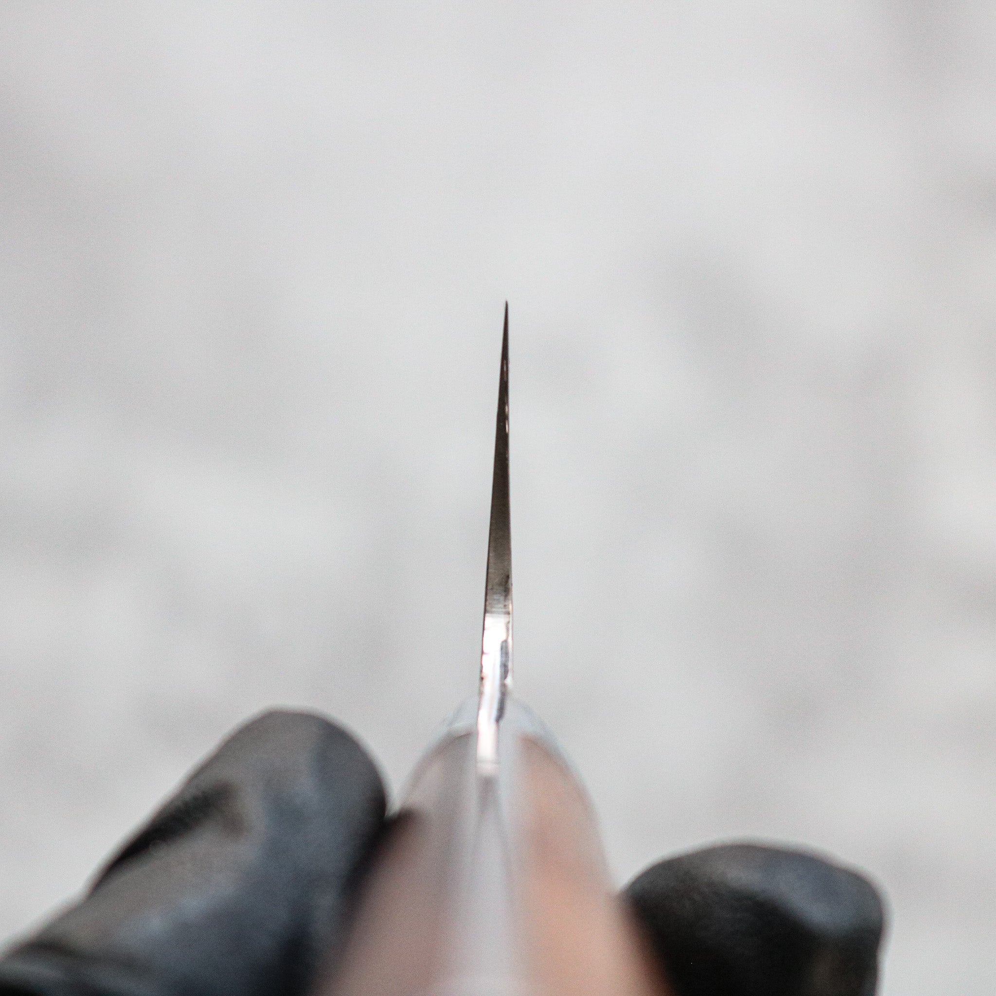 Takeshi Saji Rainbow Damascus Gyuto 210 mm