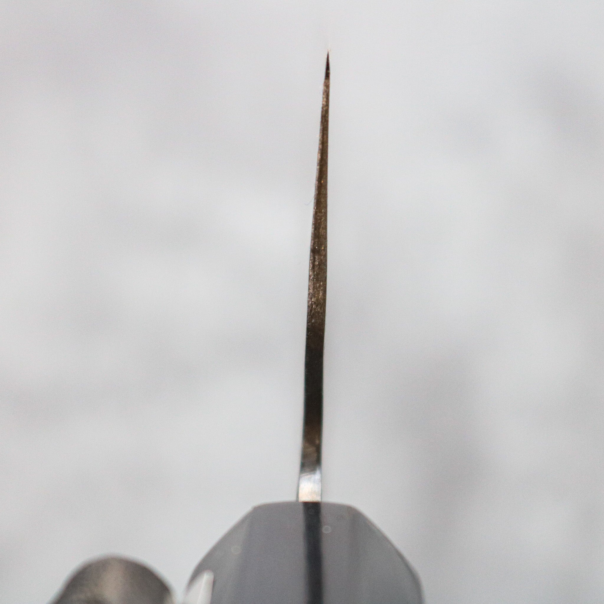 Teruyasu Fujiwara Maboroshi Gyuto 270 mm