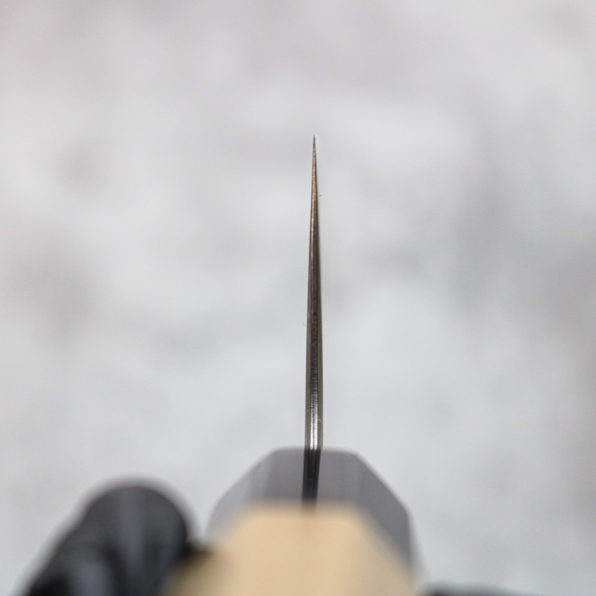 Tosaichi AO Super Gyuto 210mm