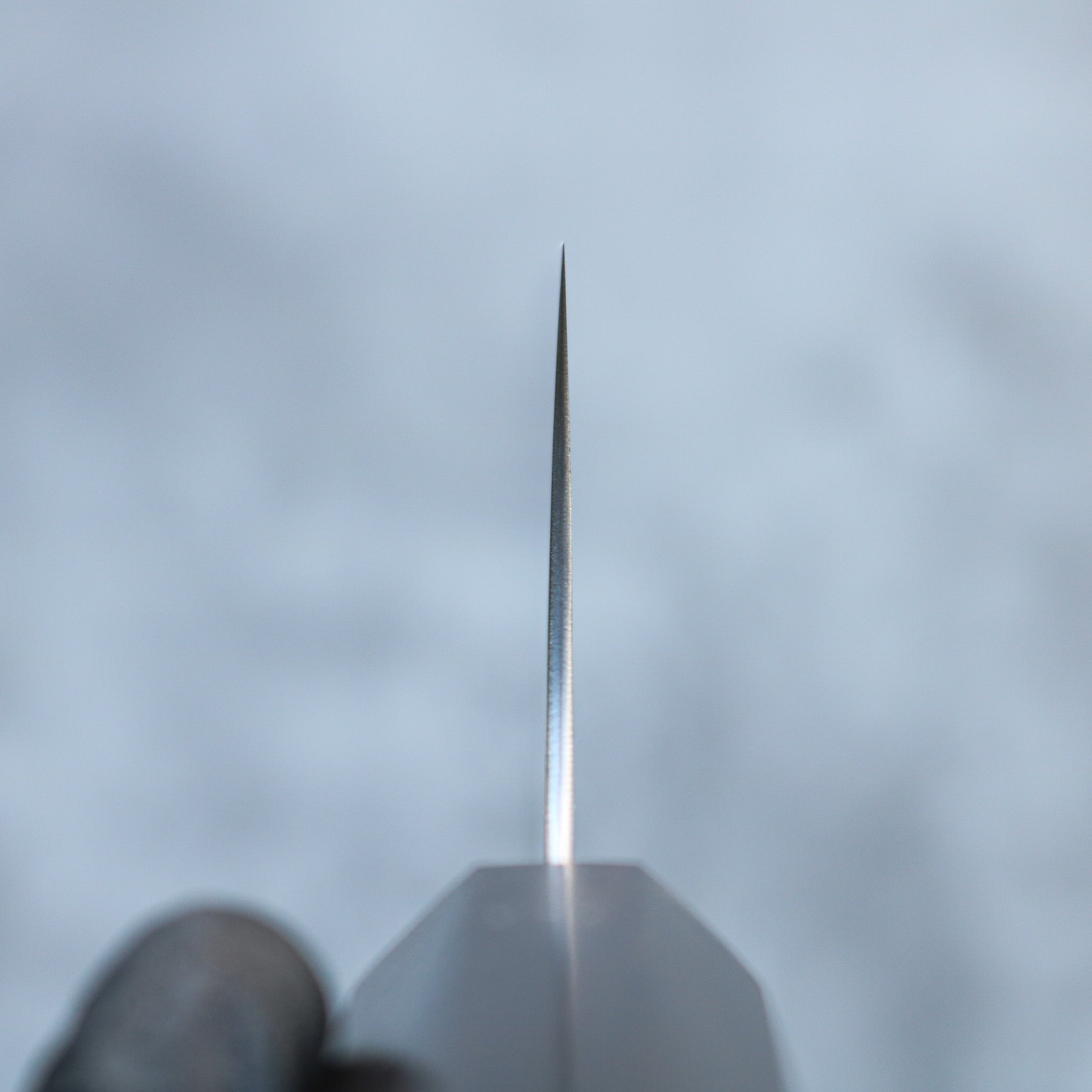 Hatsukokoro Hayabusa AO Migaki Gyuto 240 mm