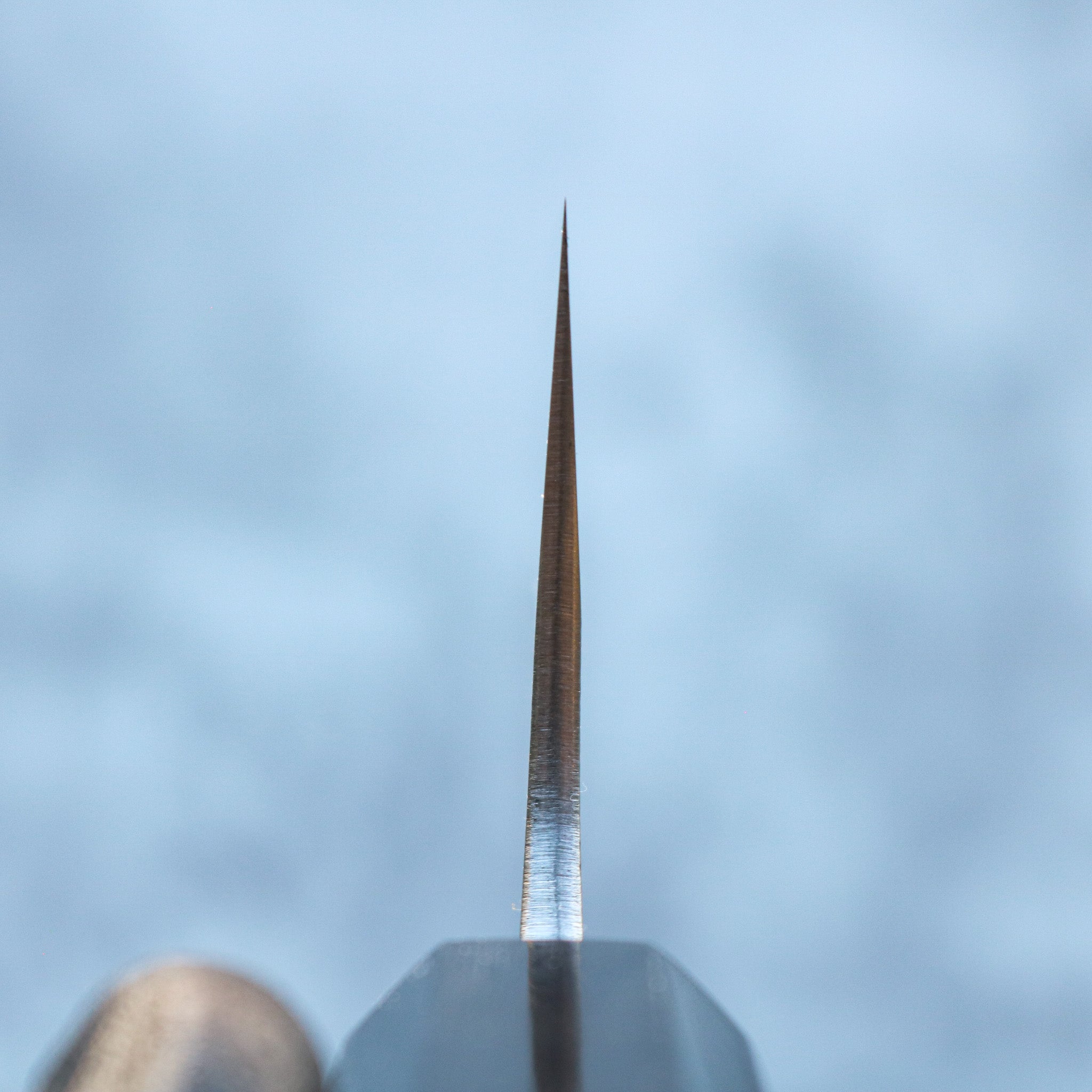 Hatsukokoro Yoshikane Nashiji SKD Kiritsuke Gyuto 210 mm