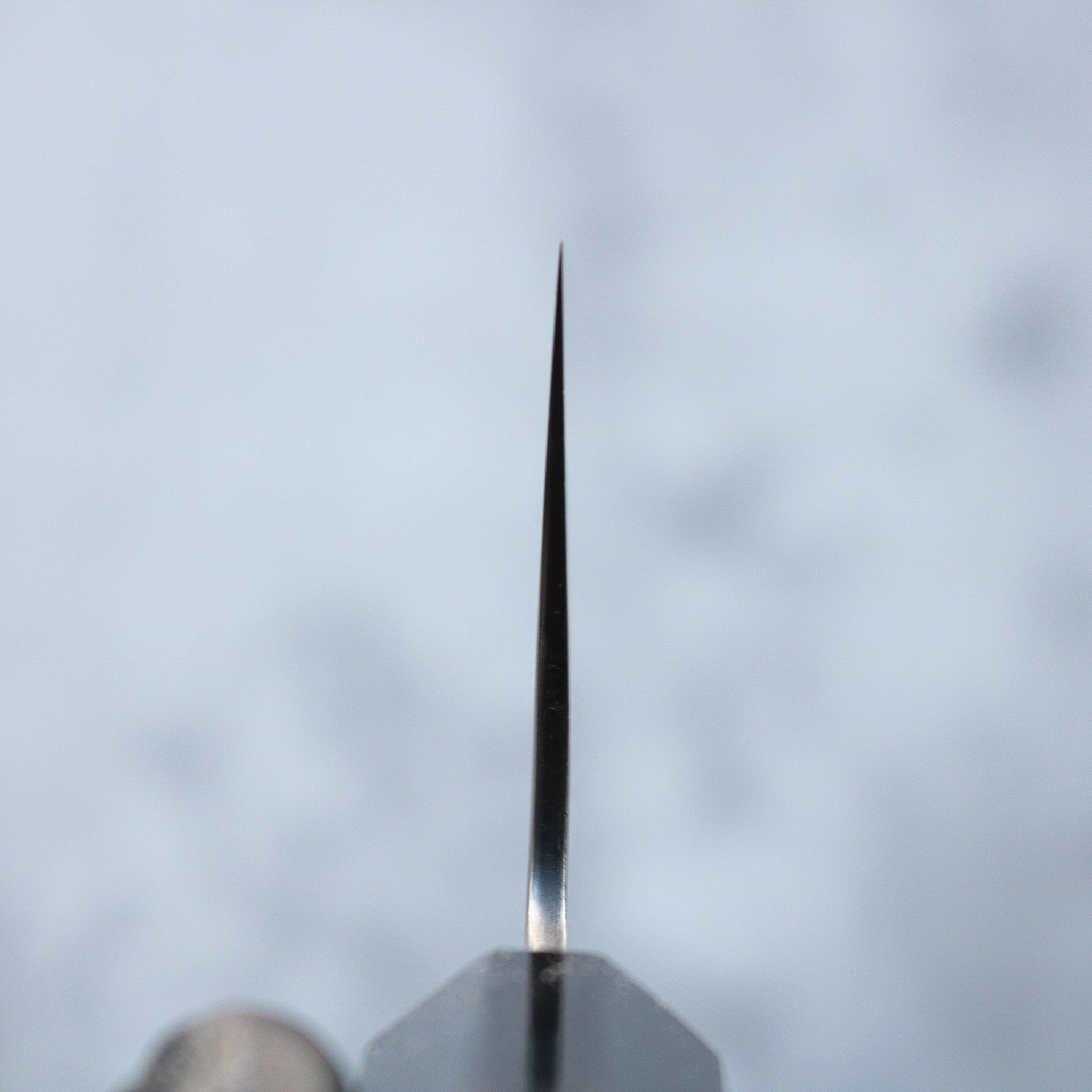 Mastubara Hamono SG2 Bunka 180 mm