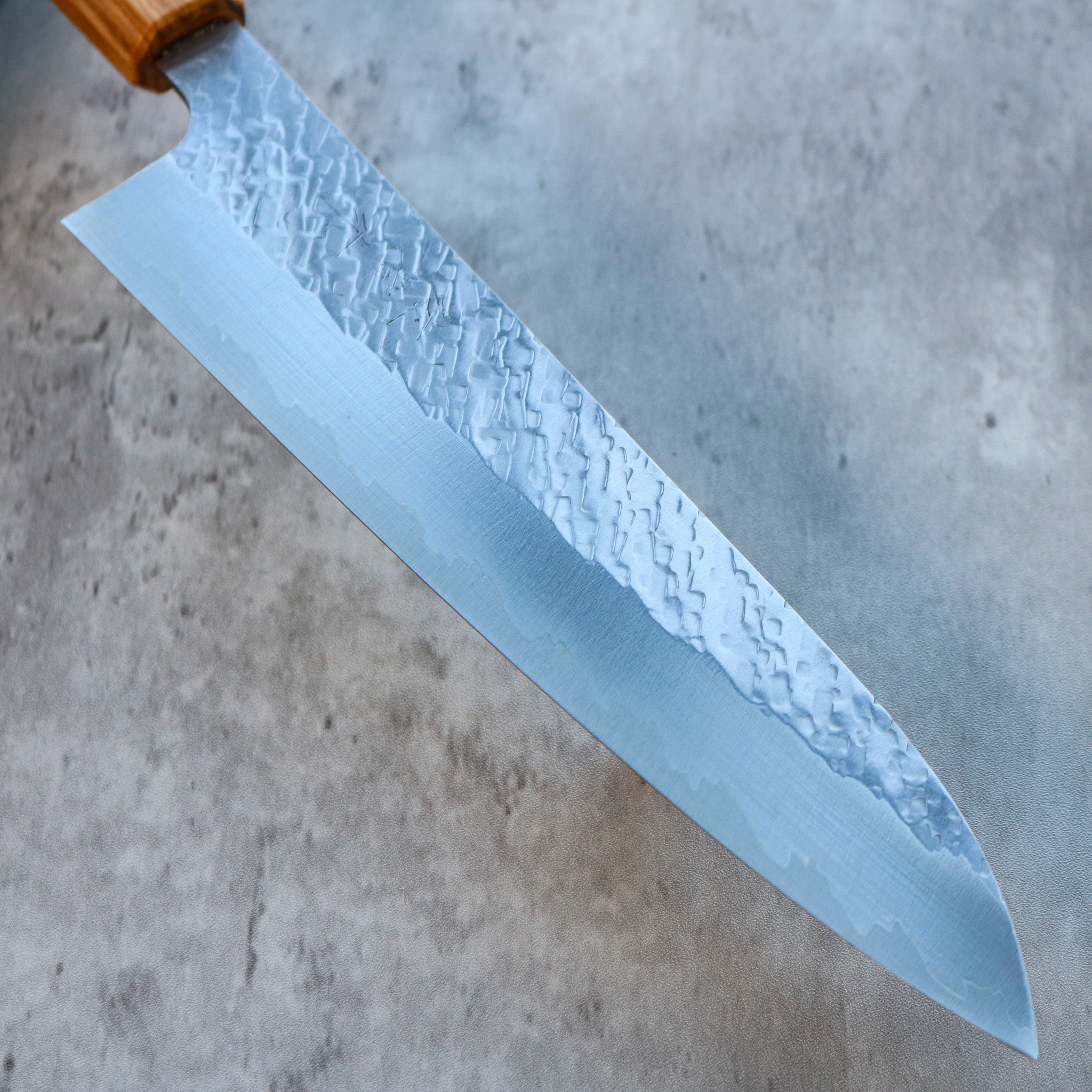 Takeshi Saji STRIX Gyuto 210 mm