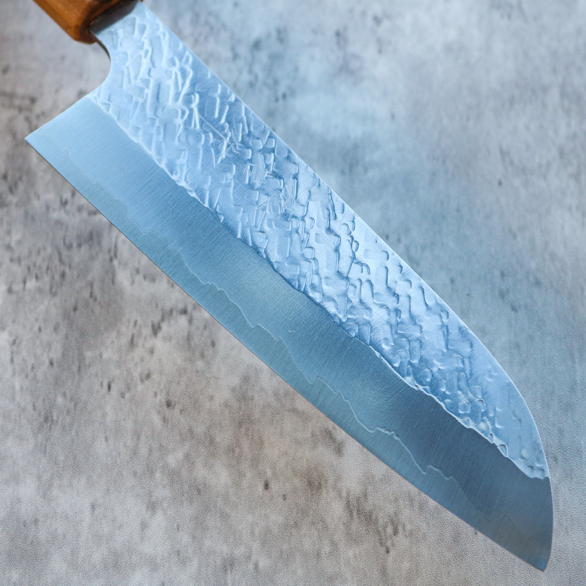 Takeshi Saji STRIX Santoku 180 mm