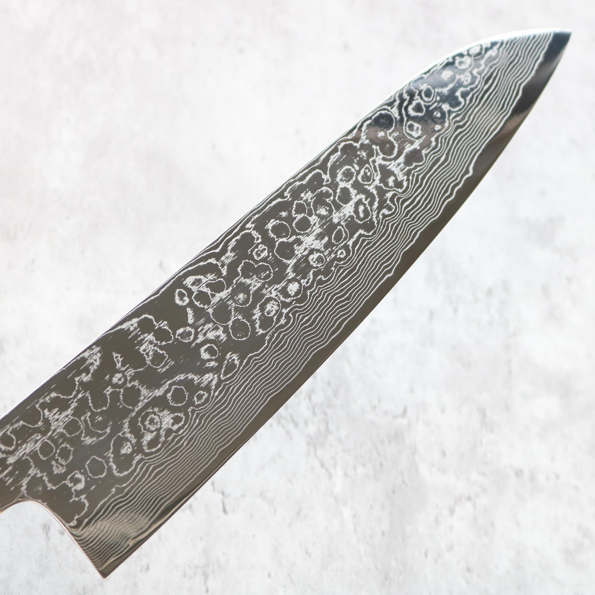 Kenshiro Hatono R2 Gyuto 240 mm