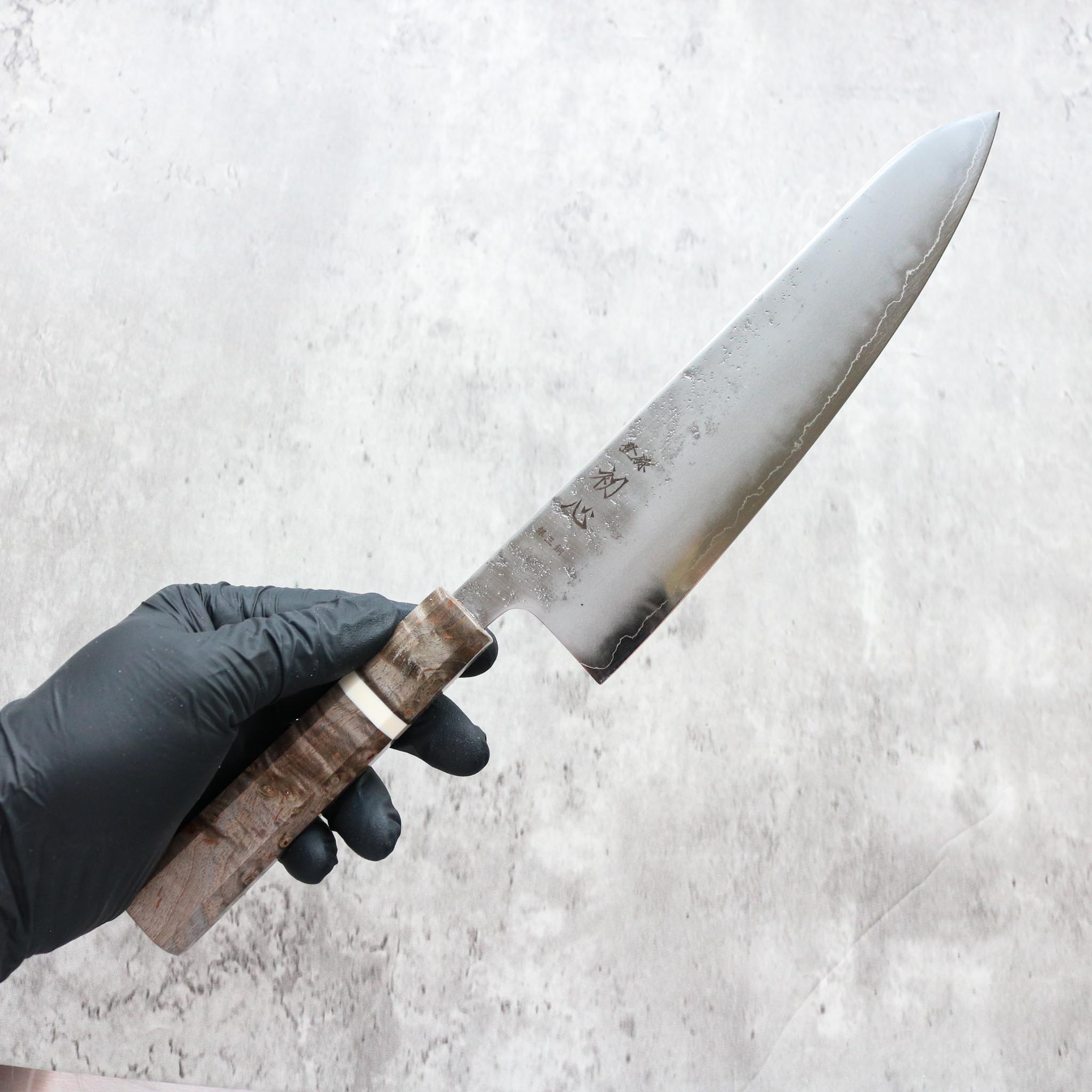 Hatsukokoro Ginrei Gyuto 210 mm