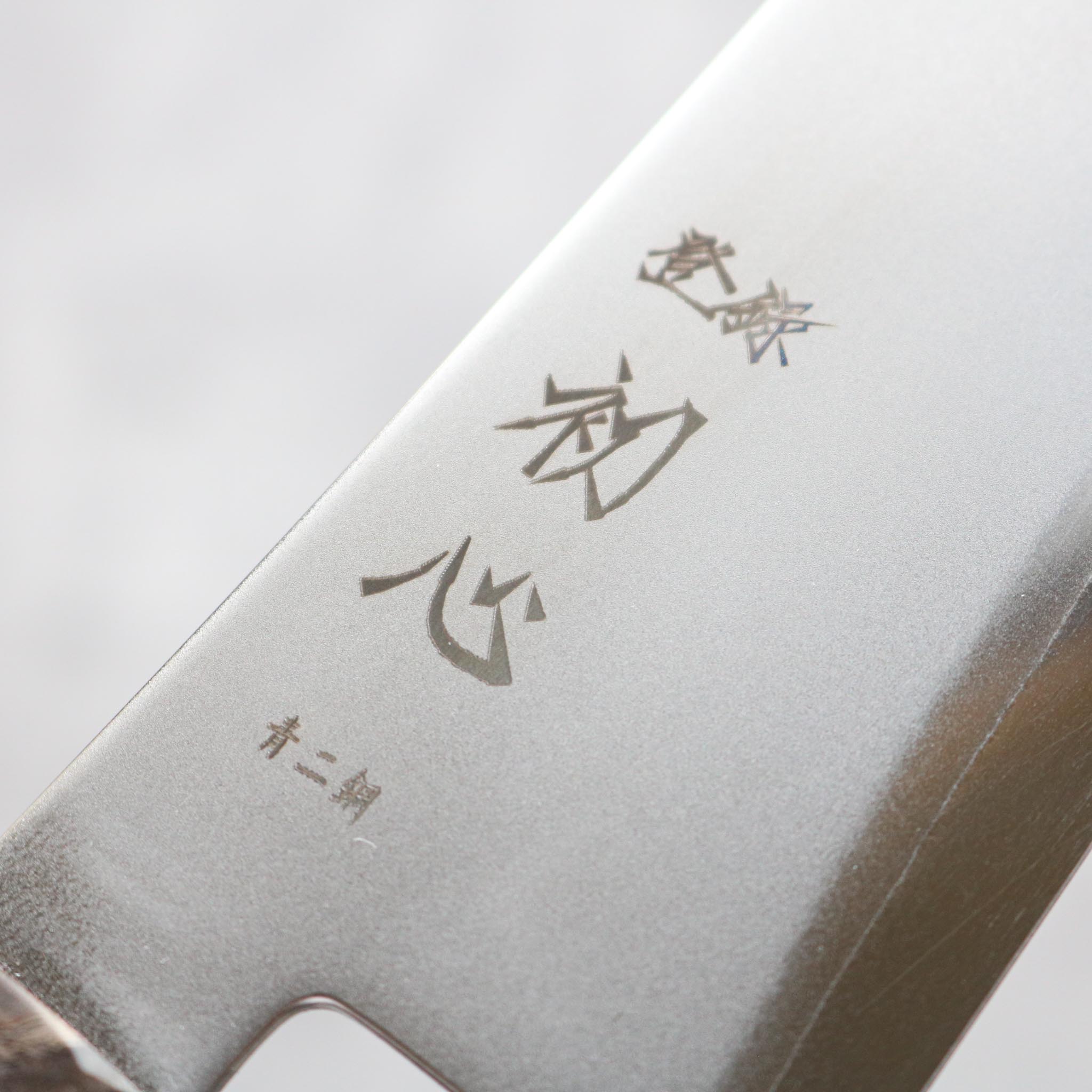 Hatsukokoro Kaijin Gyuto 210 mm