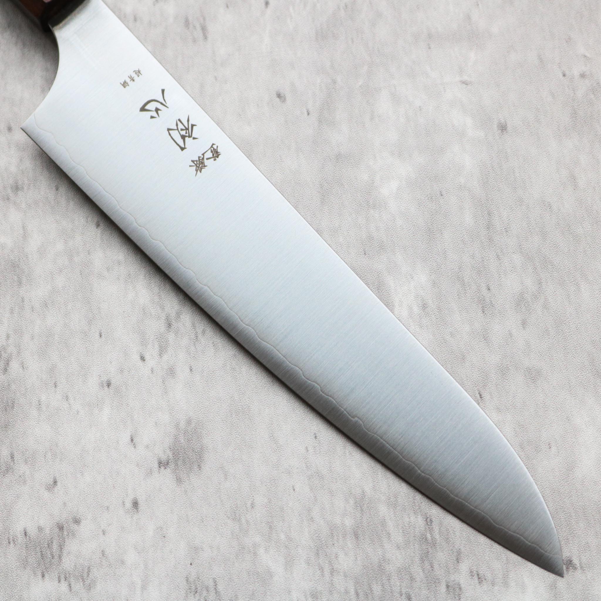 Hatsukokoro Hayabusa AO Migaki Gyuto 210 mm