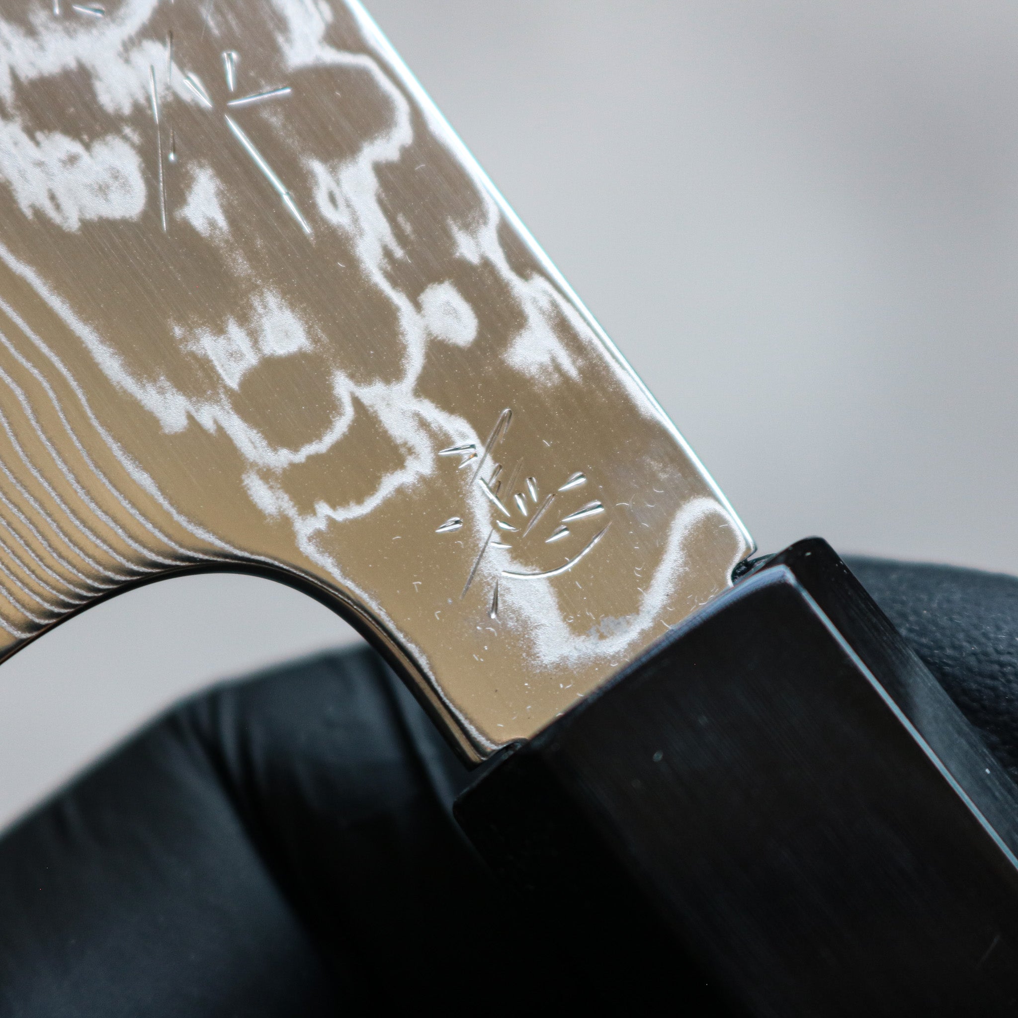 Kenshiro Hatono STRIX Damascus Kiritsuke Petty 135 mm Ebony No Spacer