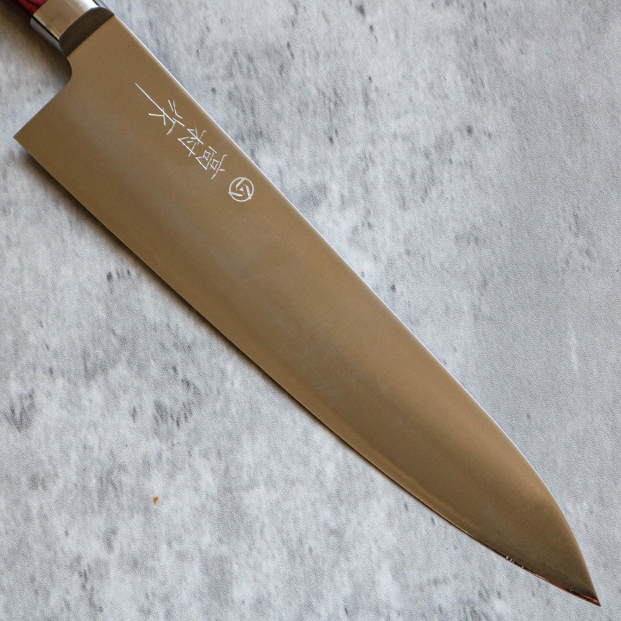 Takamura Hamono R2 Gyuto 210 mm