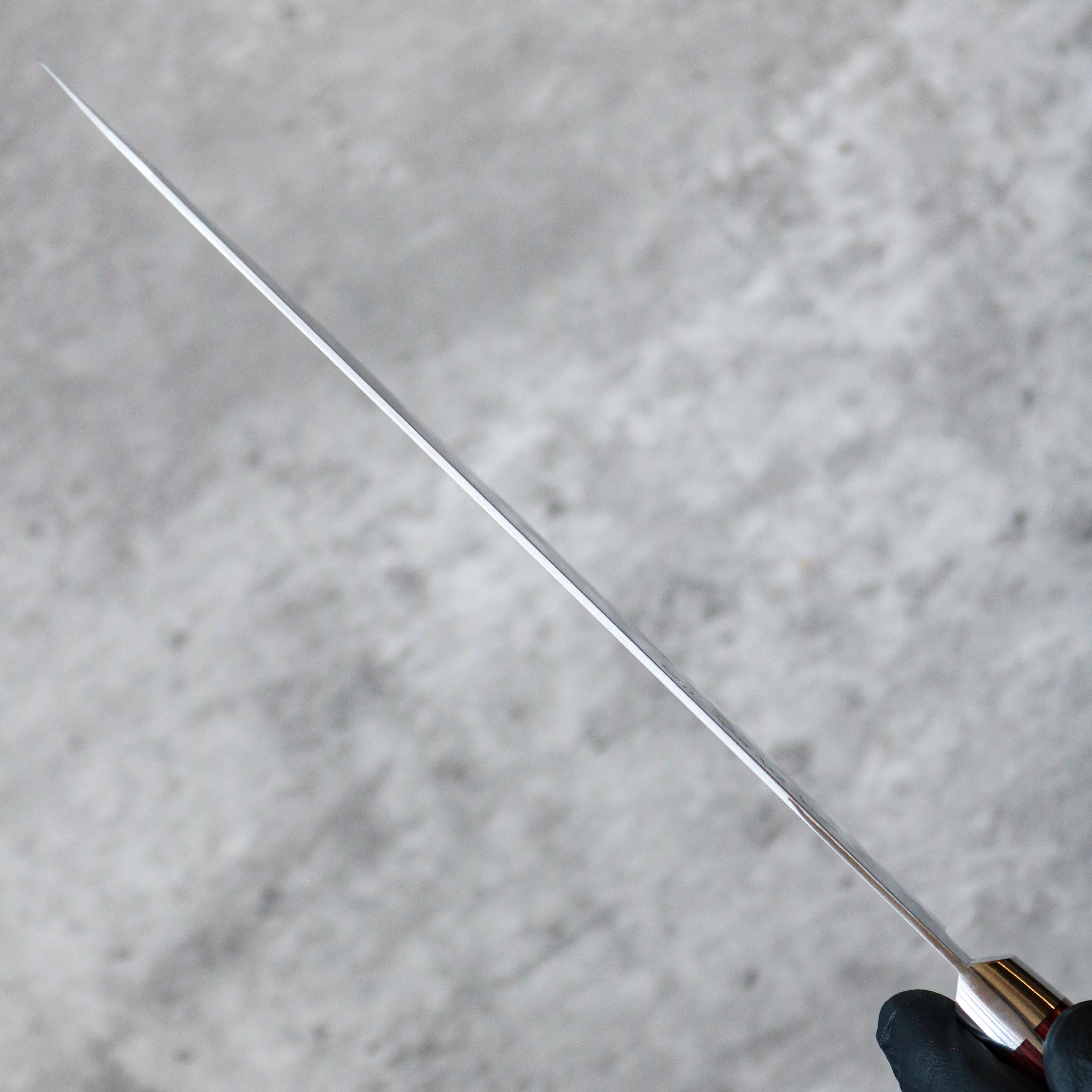 Takamura Hamono R2 Gyuto 210 mm