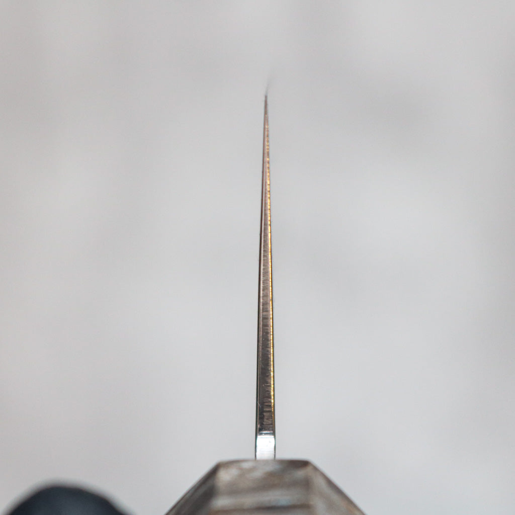 Hatsukokoro Kaijin Gyuto 240 mm