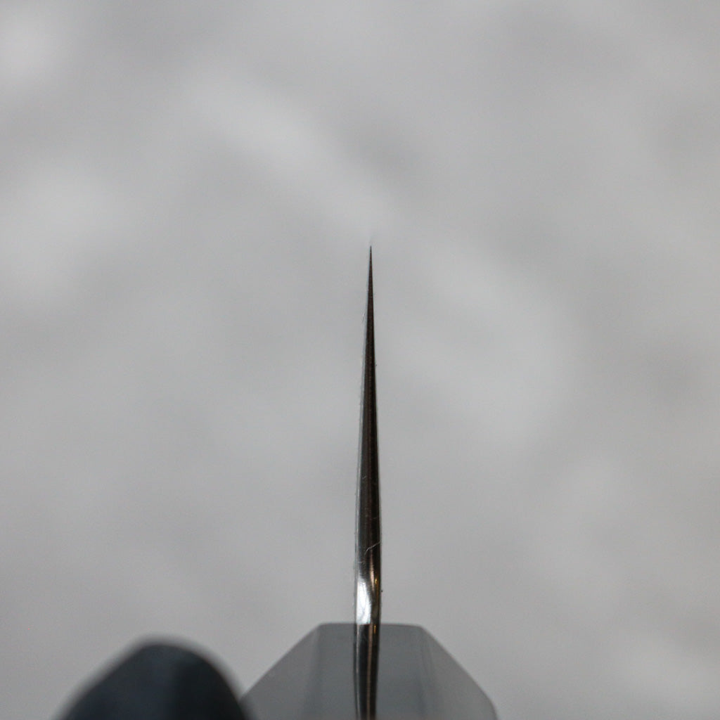 Hatsukokoro Hayabusa Damascus Gyuto 240 mm