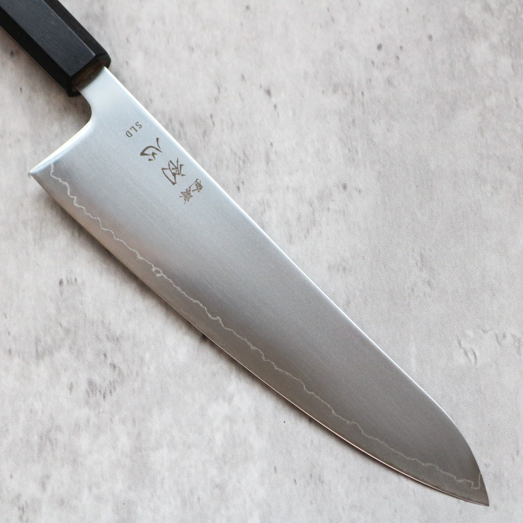 Hatsukokoro Hikari SLD Gyuto 210 mm