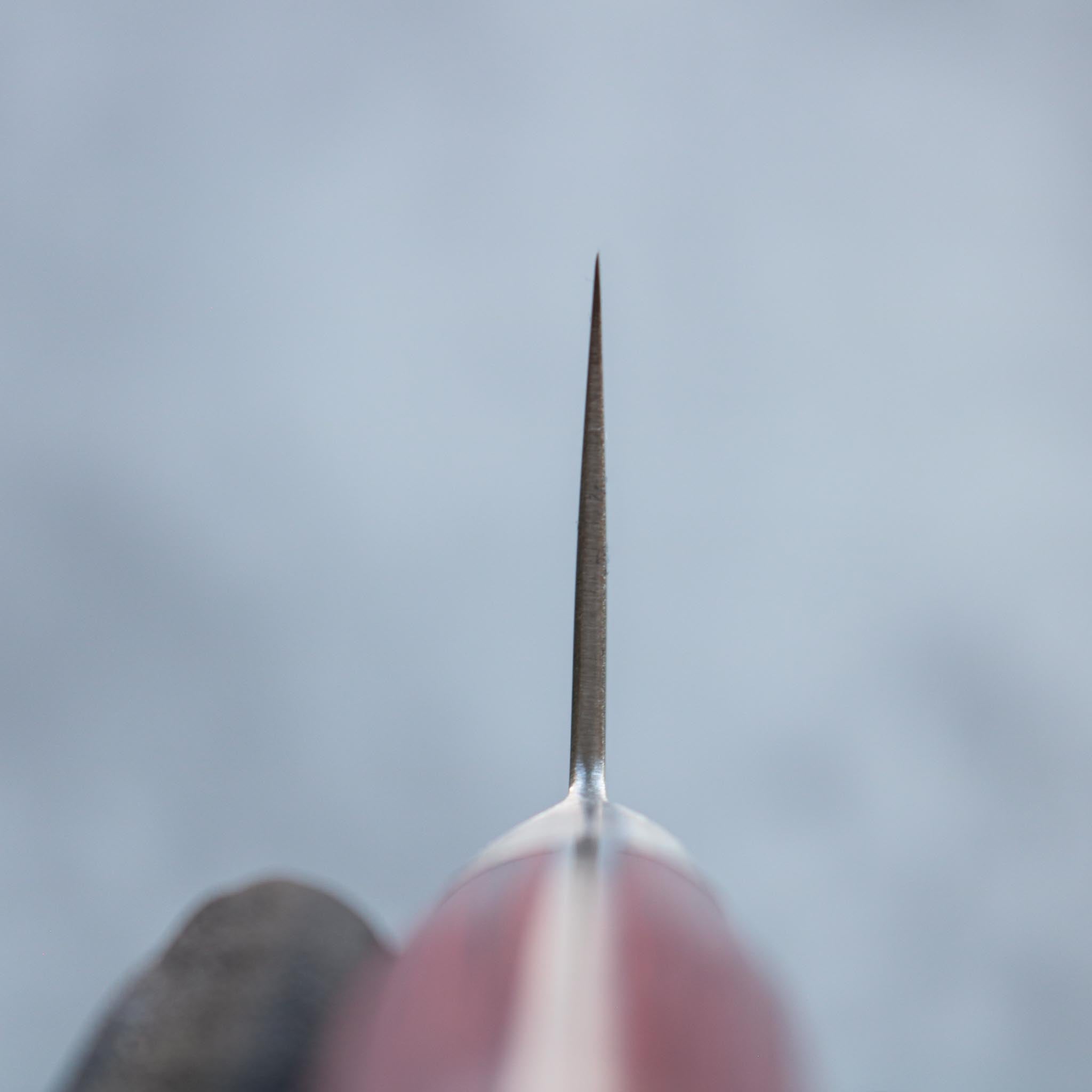 Tsunehisa VG10 Damascus Gyuto 240 mm Red Handle