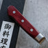 Tsunehisa VG10 Damascus Gyuto 240 mm Red Handle