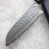 Anryu Hamono AO Santoku 165 mm