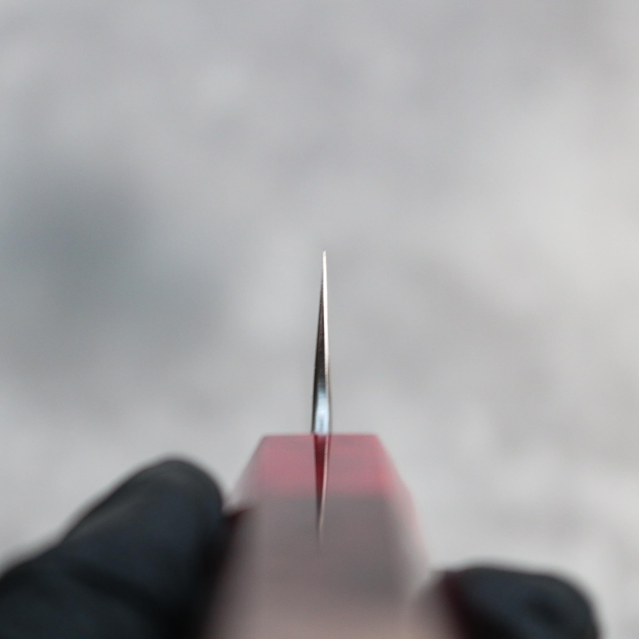 Ryusen Hamono Blazen Sujihiki 260 mm