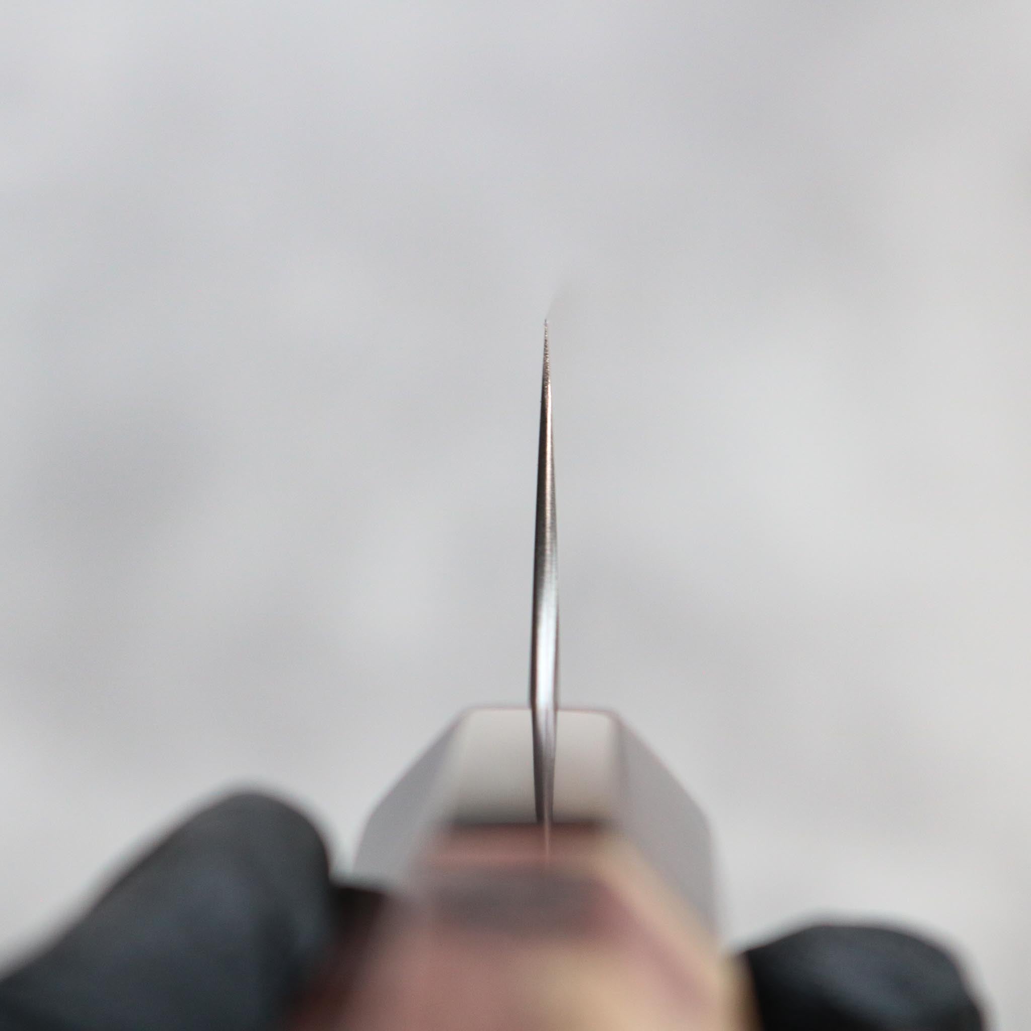 Hatsukokoro Hayabusa AO Migaki Sujihiki 270 mm