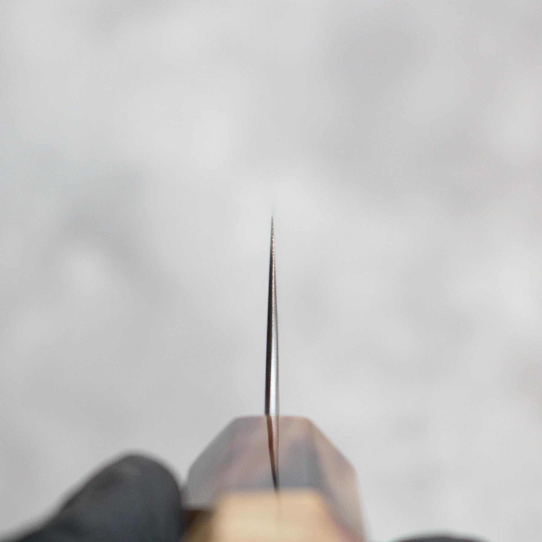 Hatsukokoro Hayabusa AO Migaki Sujihiki 270 mm