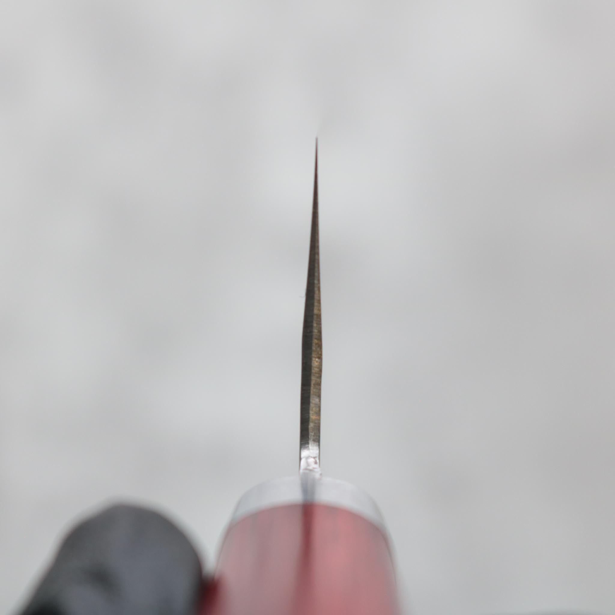 Masutani Tsuchime Gyuto 180 mm S&D