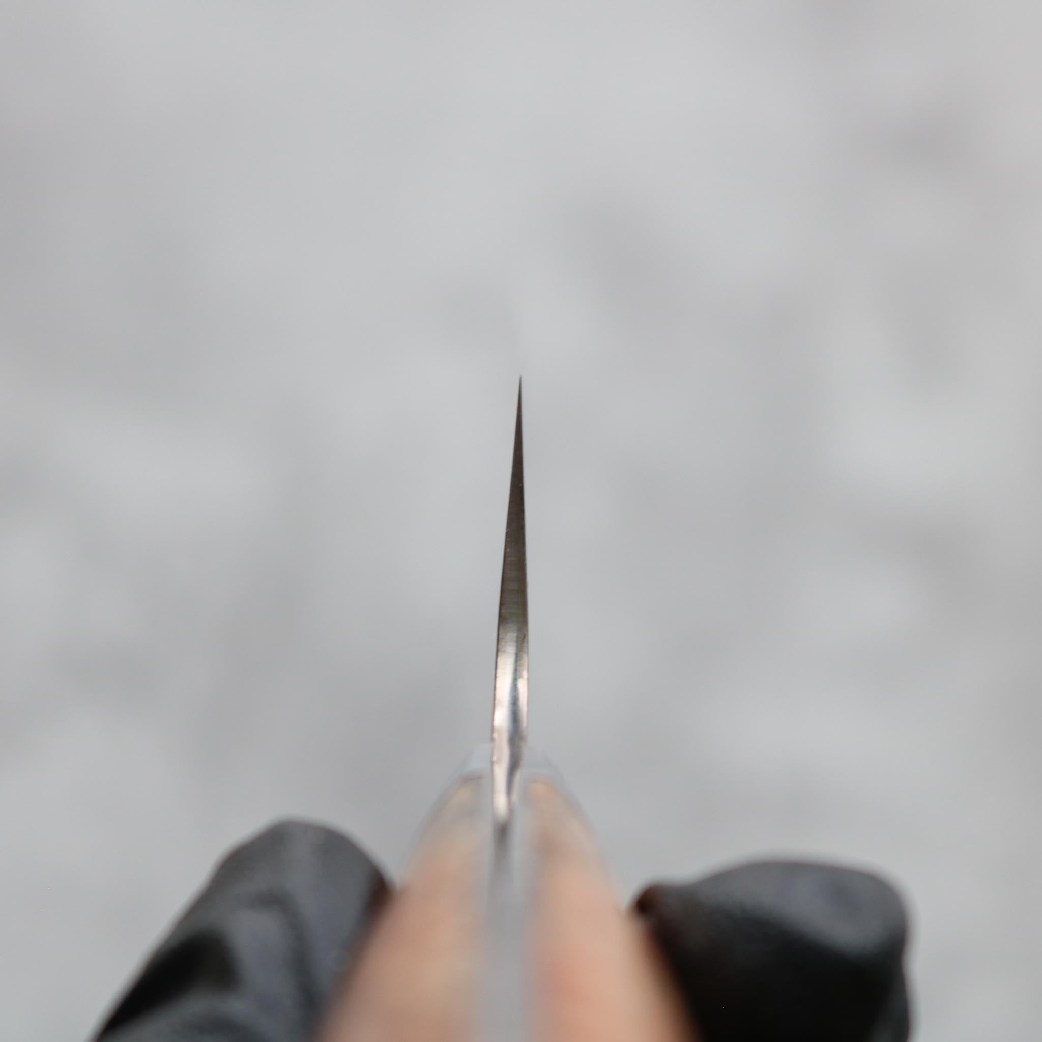 Takeshi Saji Rainbow Damascus Sujihiki 270 mm S&D