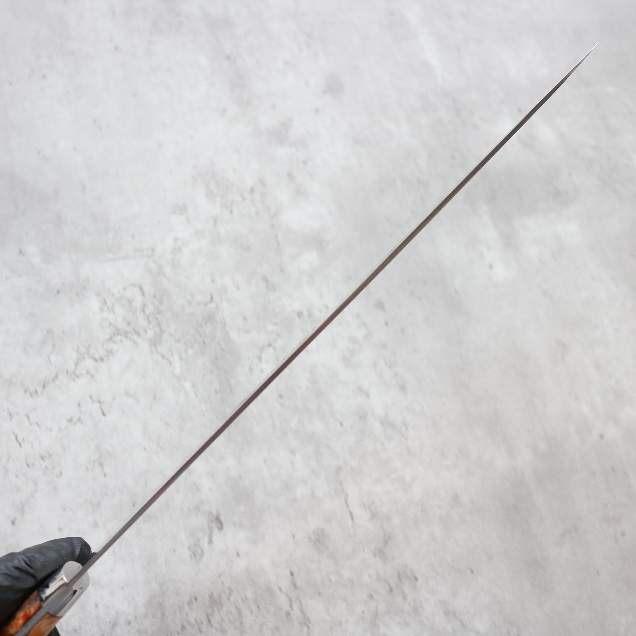 Takeshi Saji Rainbow Damascus Sujihiki 270 mm S&D