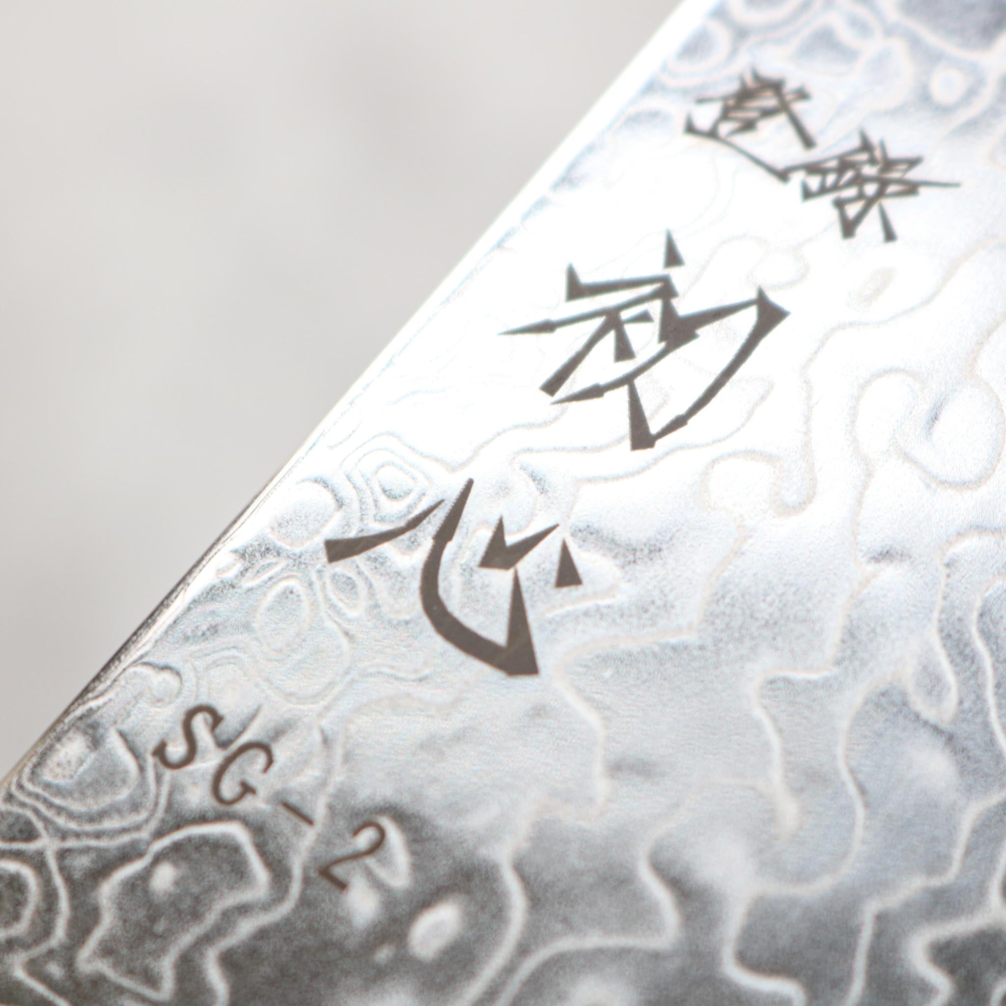 Hatsukokoro Ryuhyo SG2 Gyuto 240 mm