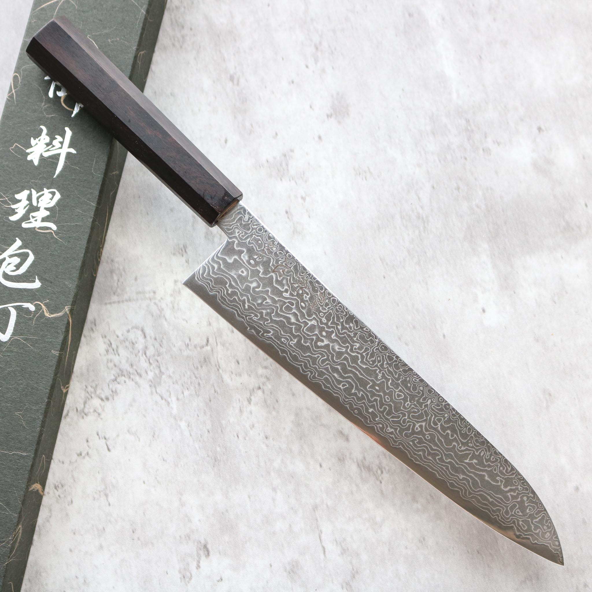 Hatsukokoro Ryuhyo SG2 Gyuto 240 mm