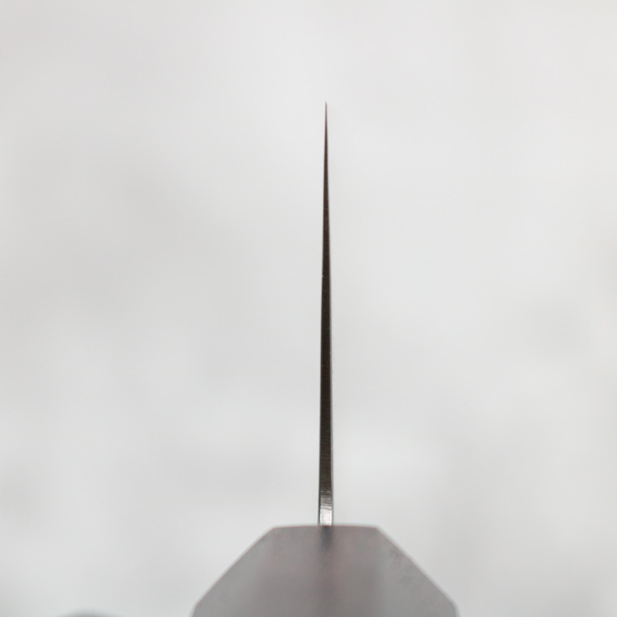 Hatsukokoro Ryuhyo SG2 Kiritsuke Gyuto 240 mm