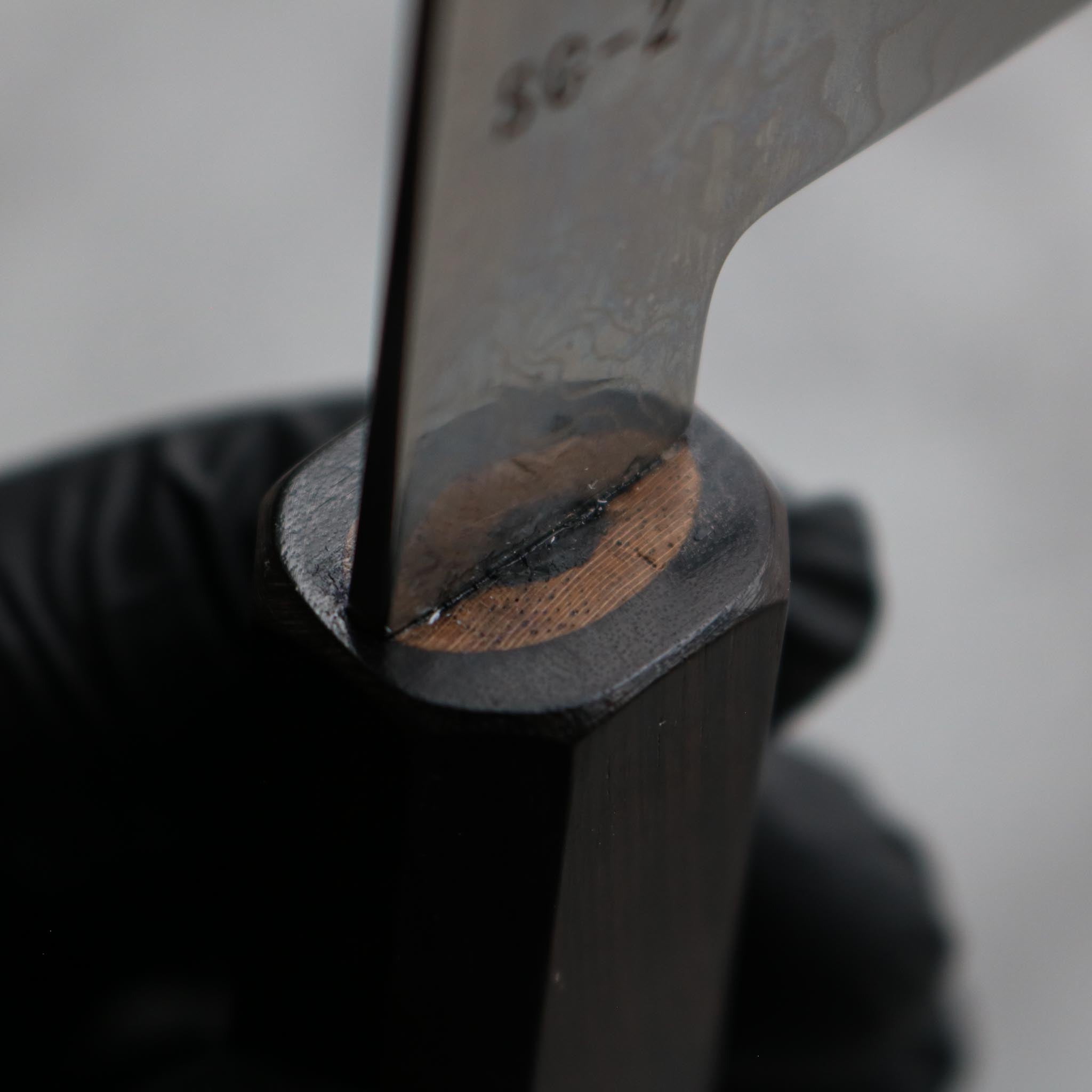 Hatsukokoro Ryuhyo SG2 Kiritsuke Gyuto 210 mm