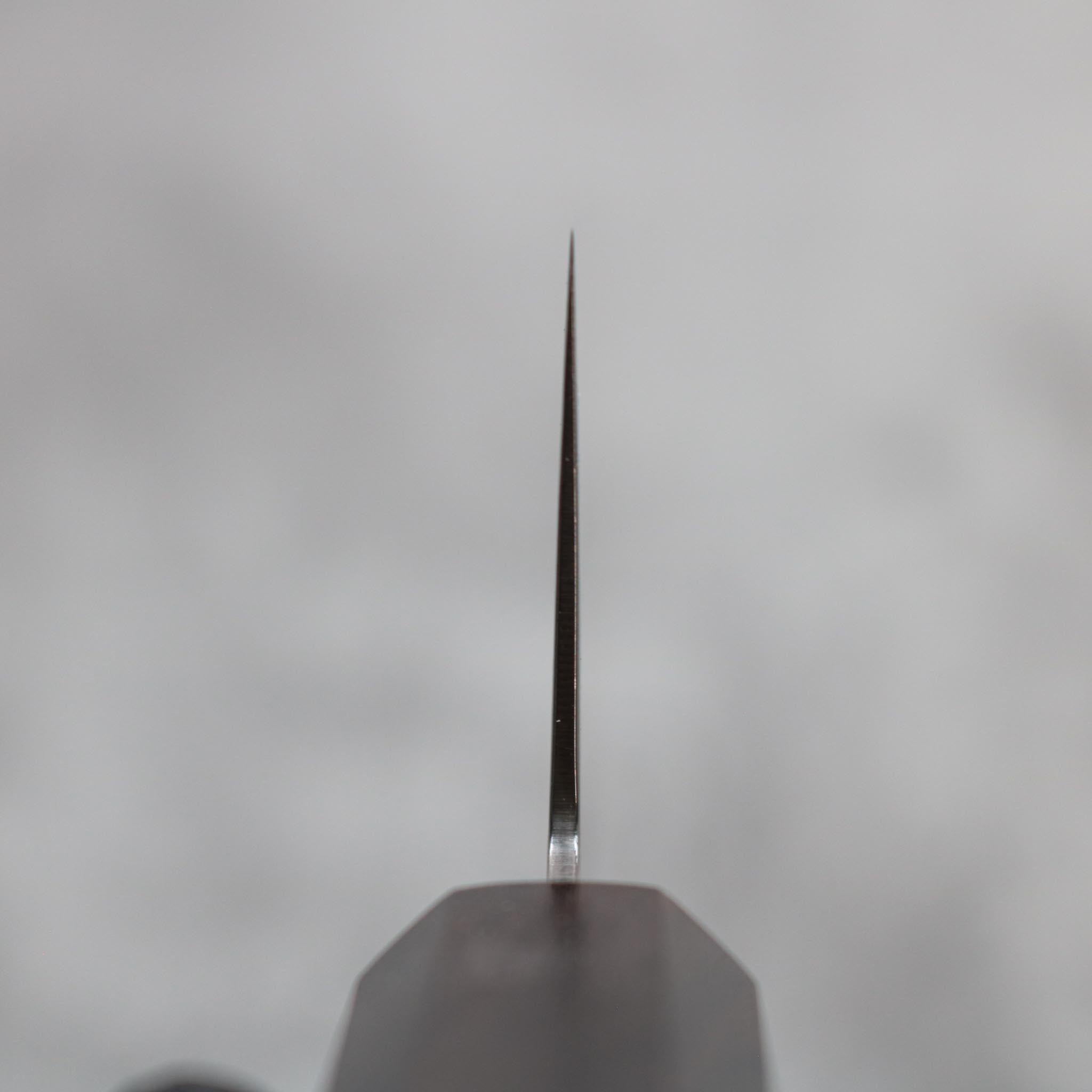 Hatsukokoro Ryuhyo SG2 Kiritsuke Gyuto 210 mm