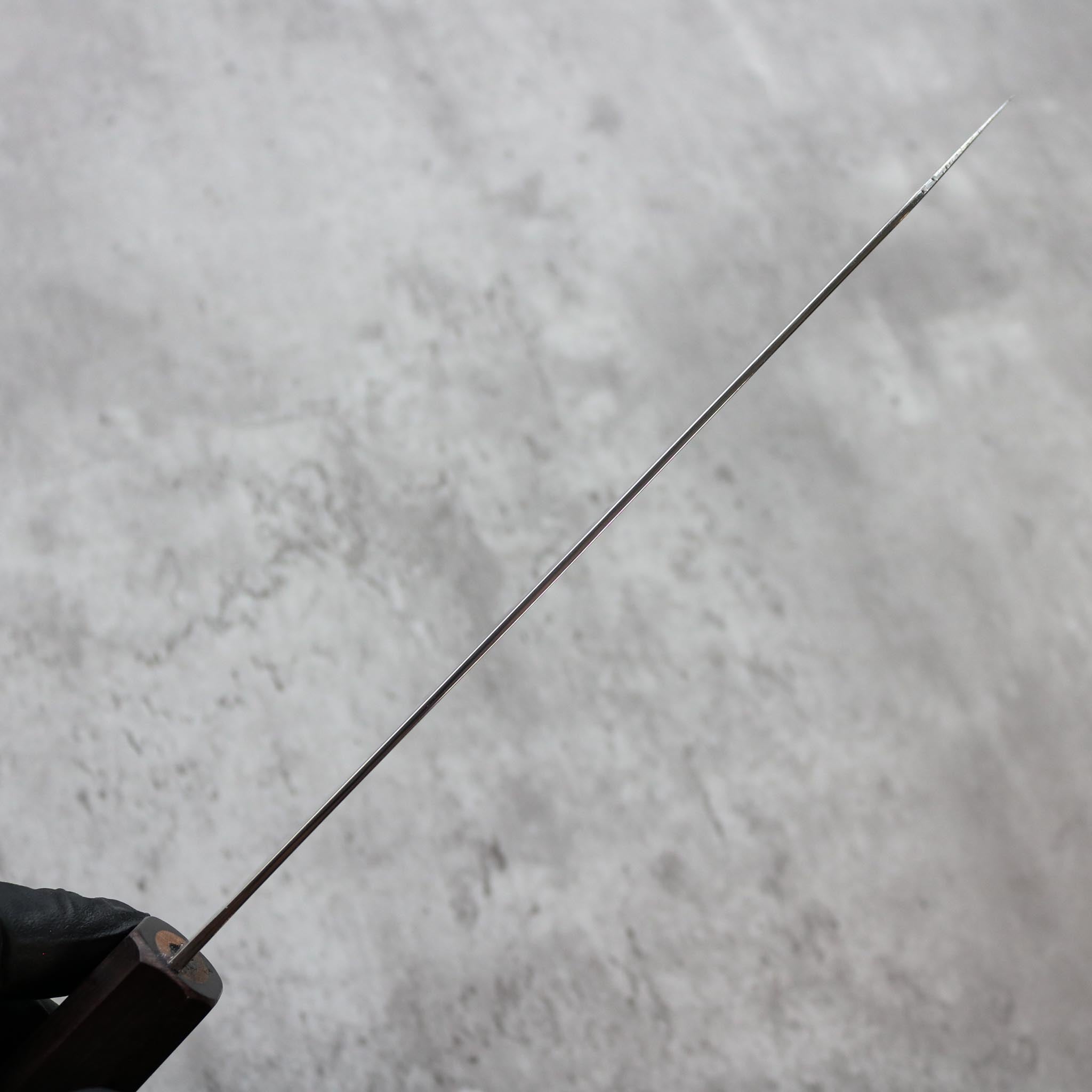 Hatsukokoro Ryuhyo SG2 Kiritsuke Gyuto 210 mm