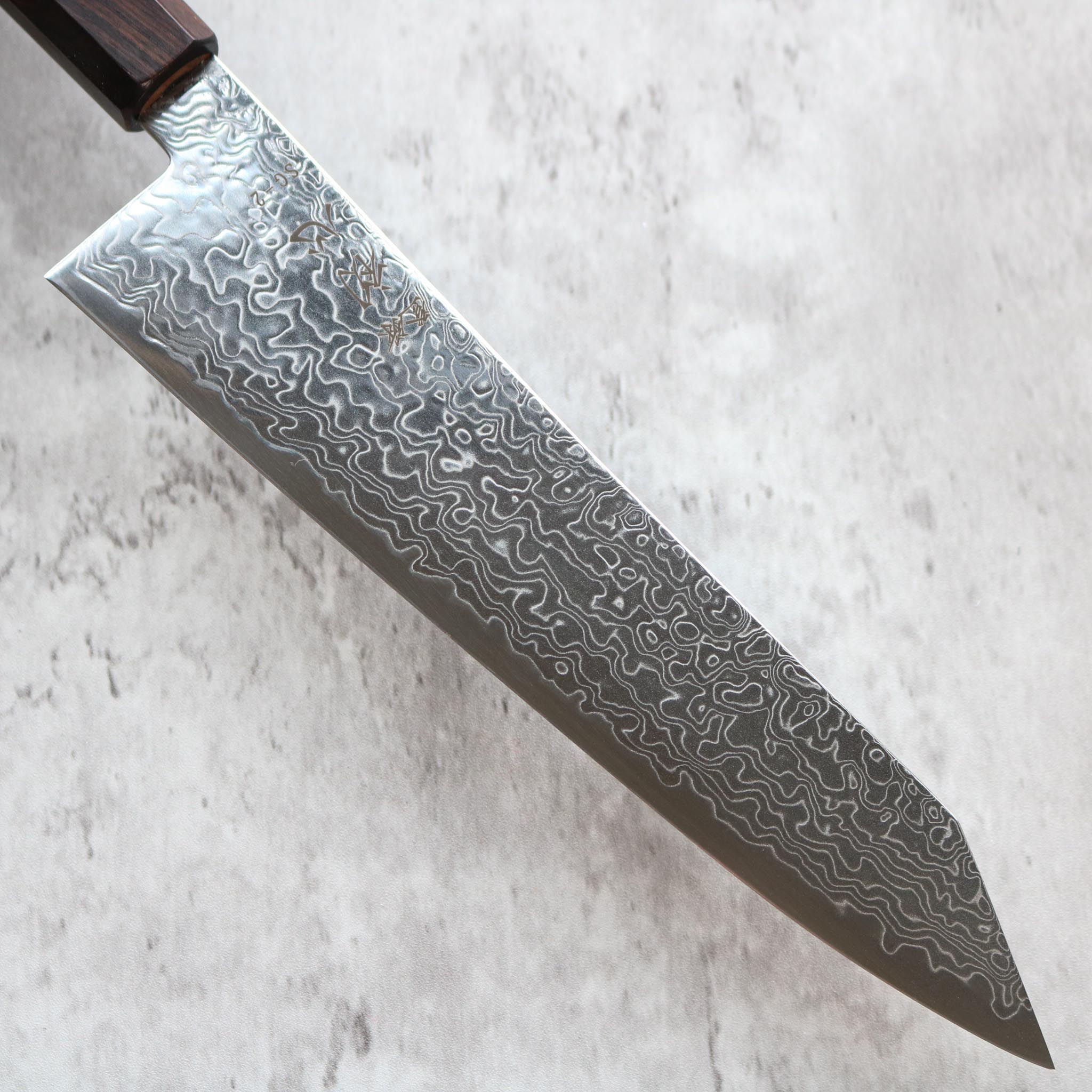 Hatsukokoro Ryuhyo SG2 Kiritsuke Gyuto 210 mm