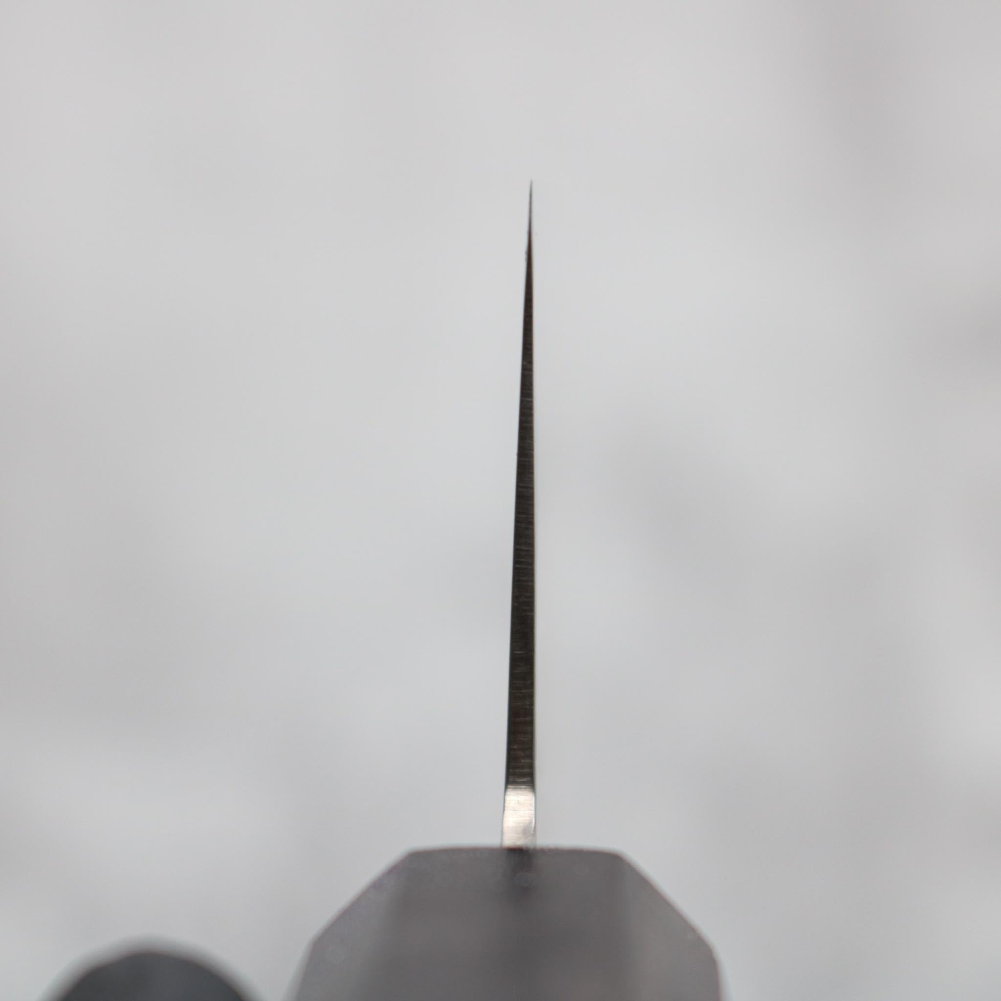 Hatsukokoro Ryuhyo SG2 Santoku 175 mm