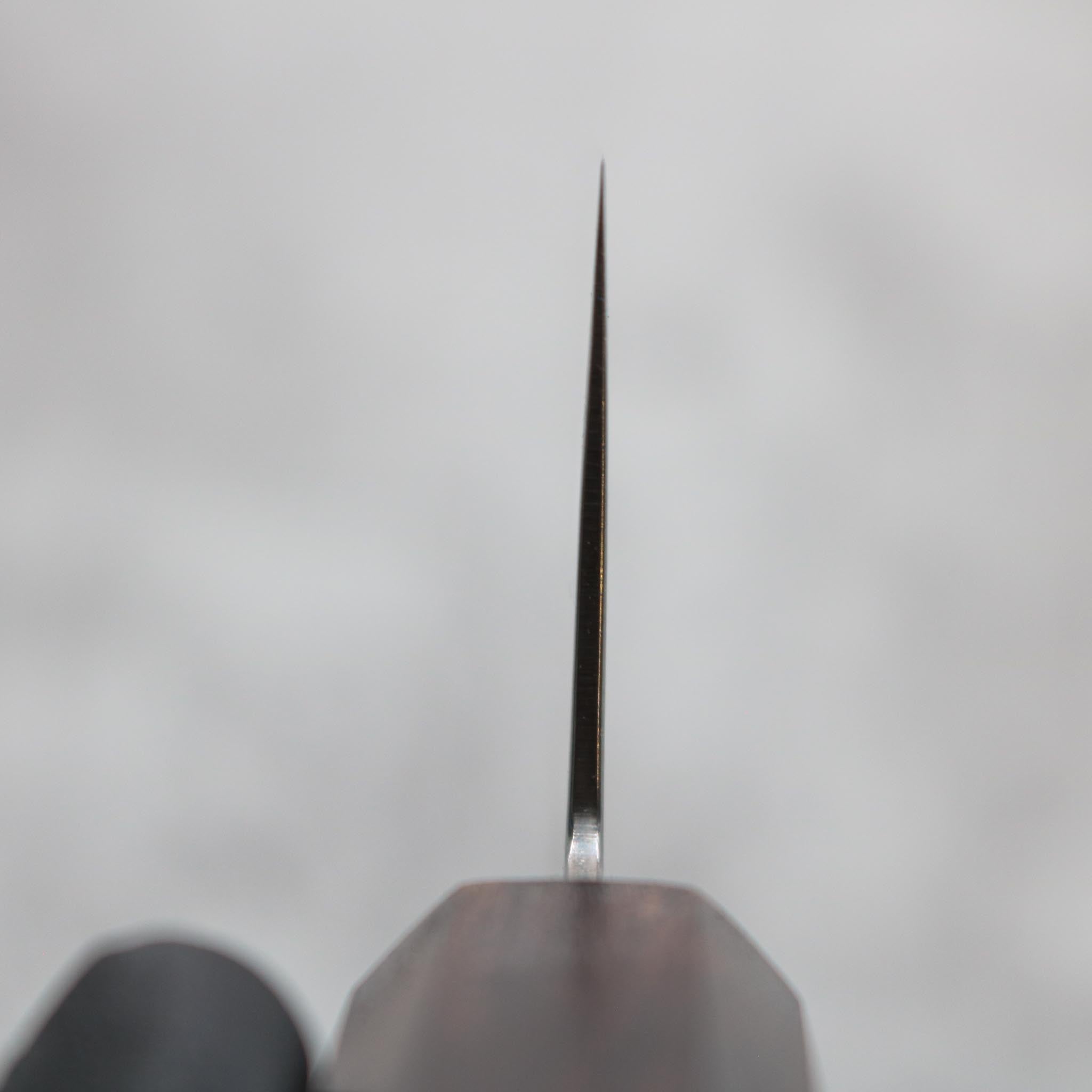 Hatsukokoro Ryuhyo SG2 Bunka 175 mm