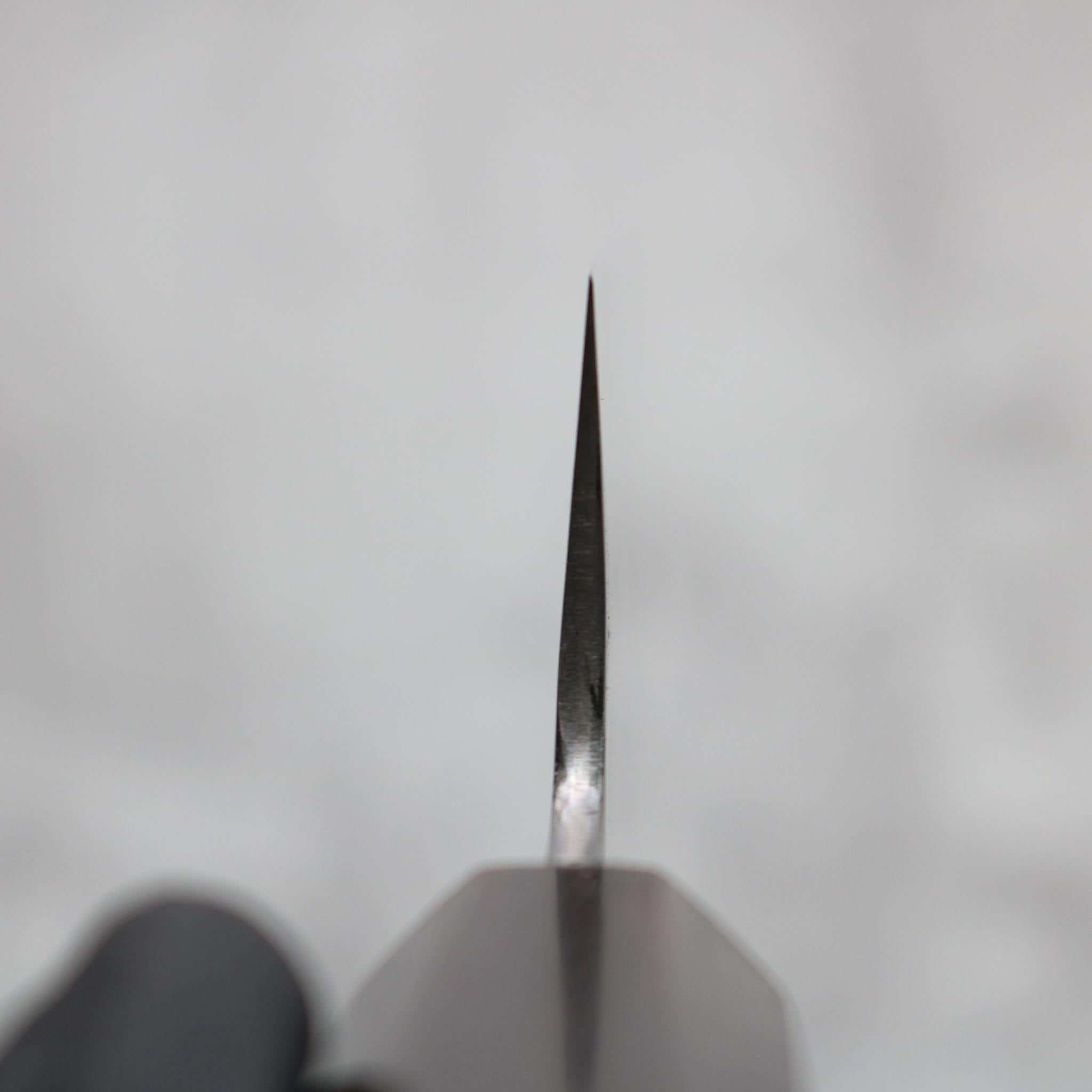 Nakagawa Satoshi B1 Kiritsuke Gyuto 240 mm