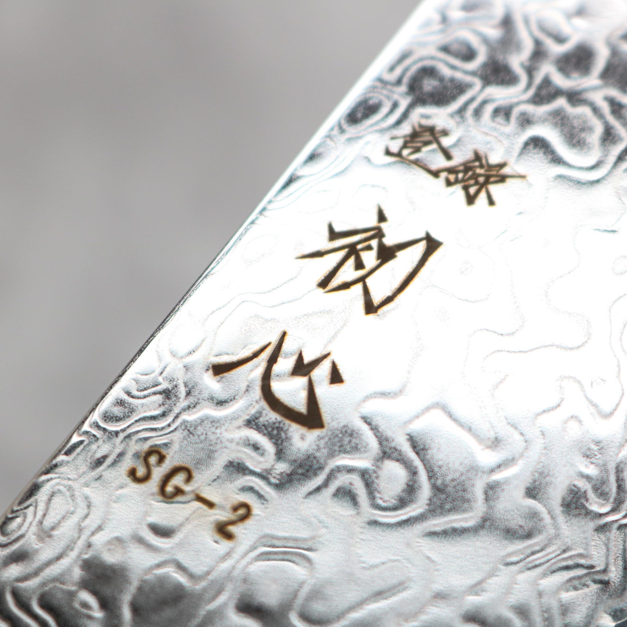 Hatsukokoro Ryuhyo SG2 Gyuto 210 mm