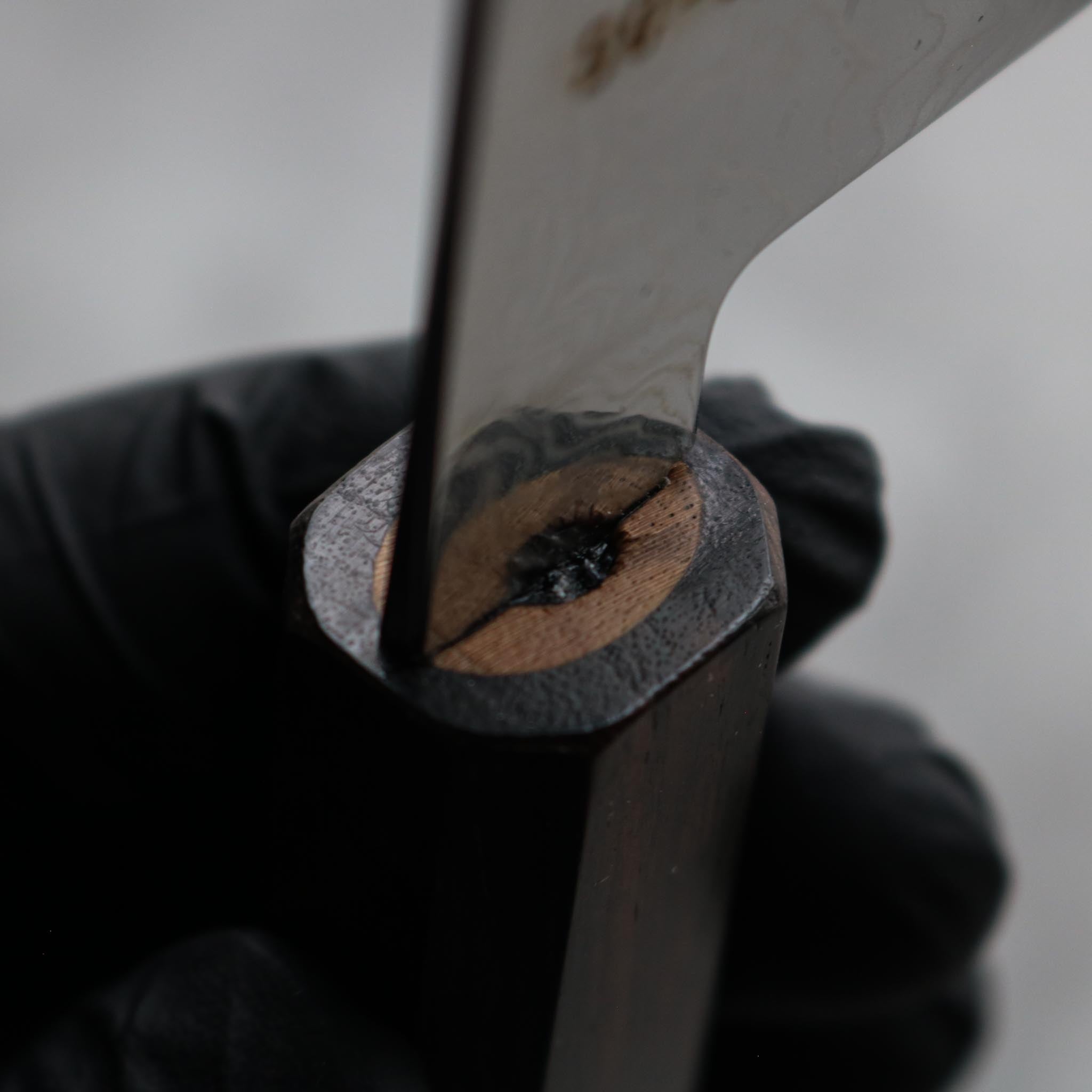 Hatsukokoro Ryuhyo SG2 Gyuto 210 mm