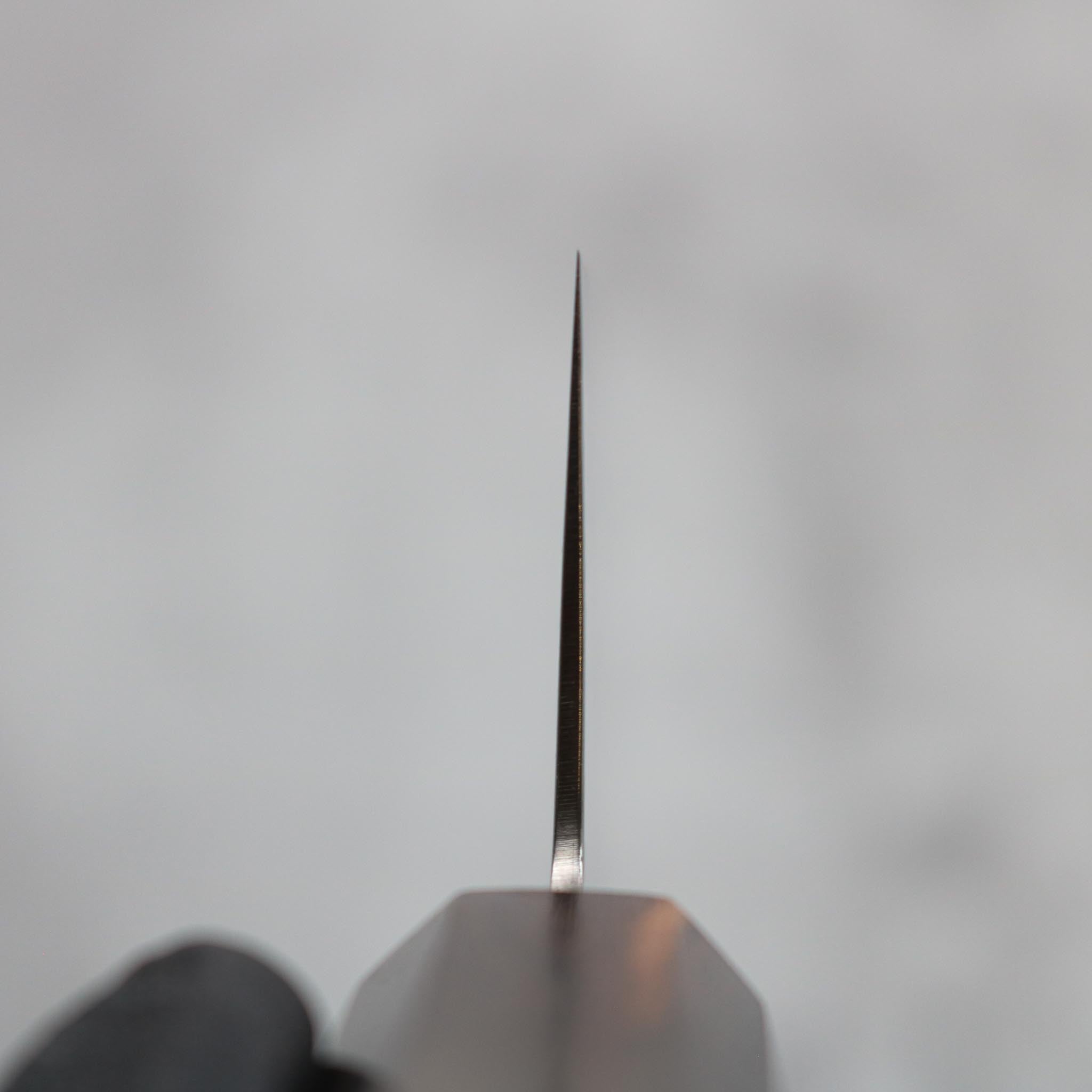 Hatsukokoro Ryuhyo SG2 Gyuto 210 mm