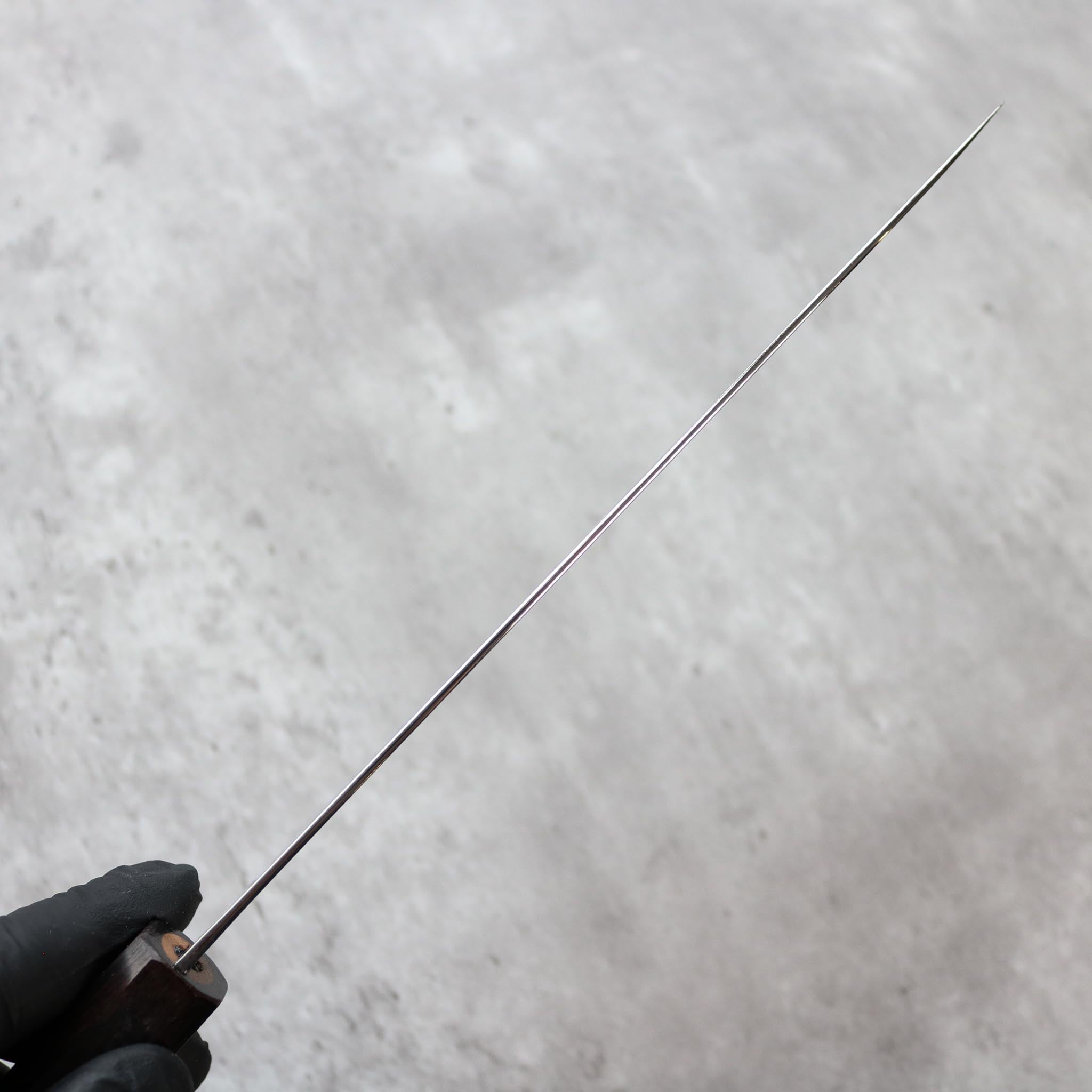 Hatsukokoro Ryuhyo SG2 Gyuto 210 mm