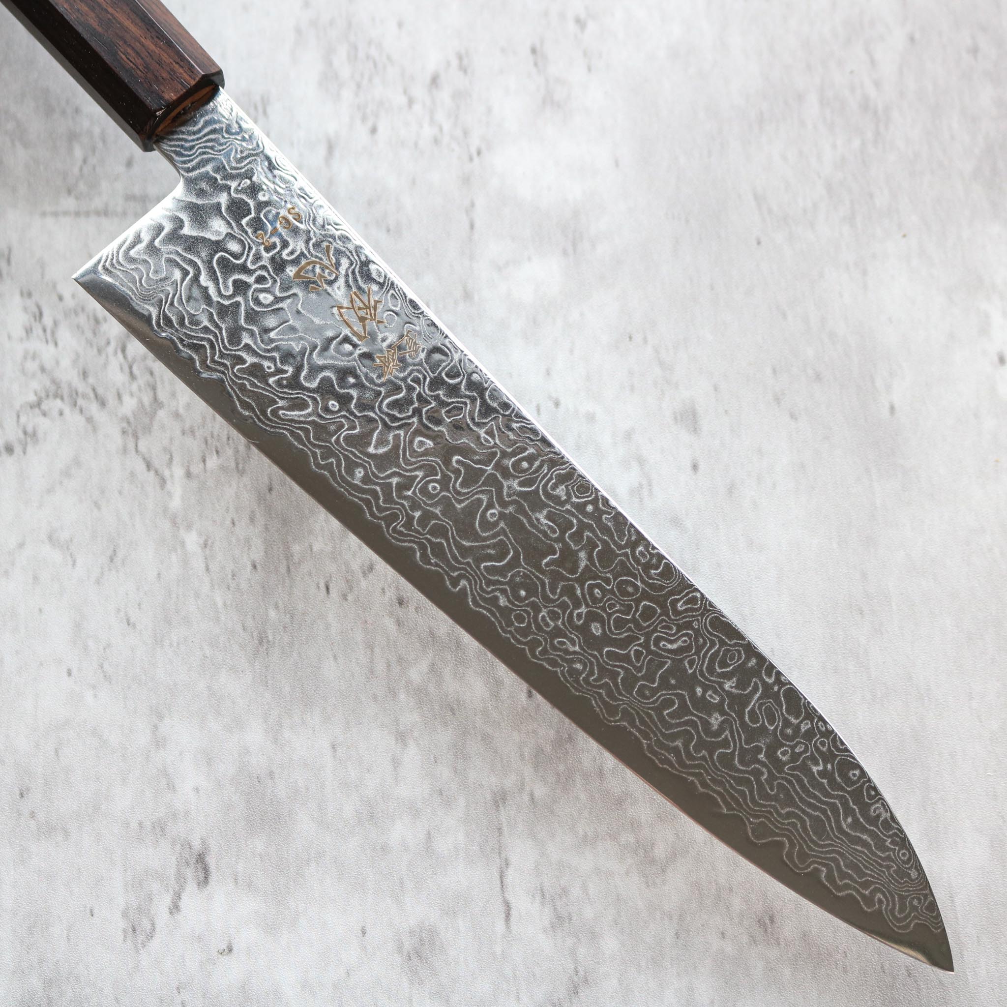 Hatsukokoro Ryuhyo SG2 Gyuto 210 mm