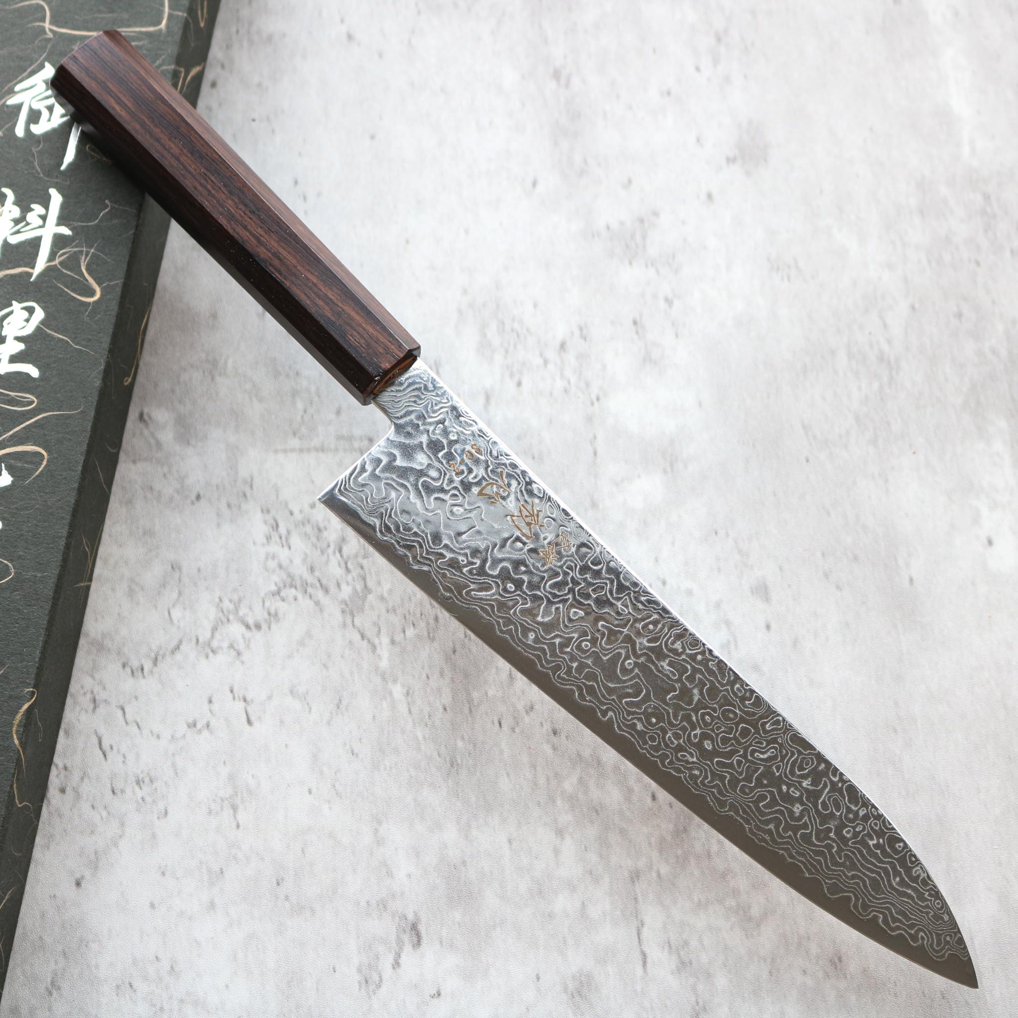 Hatsukokoro Ryuhyo SG2 Gyuto 210 mm