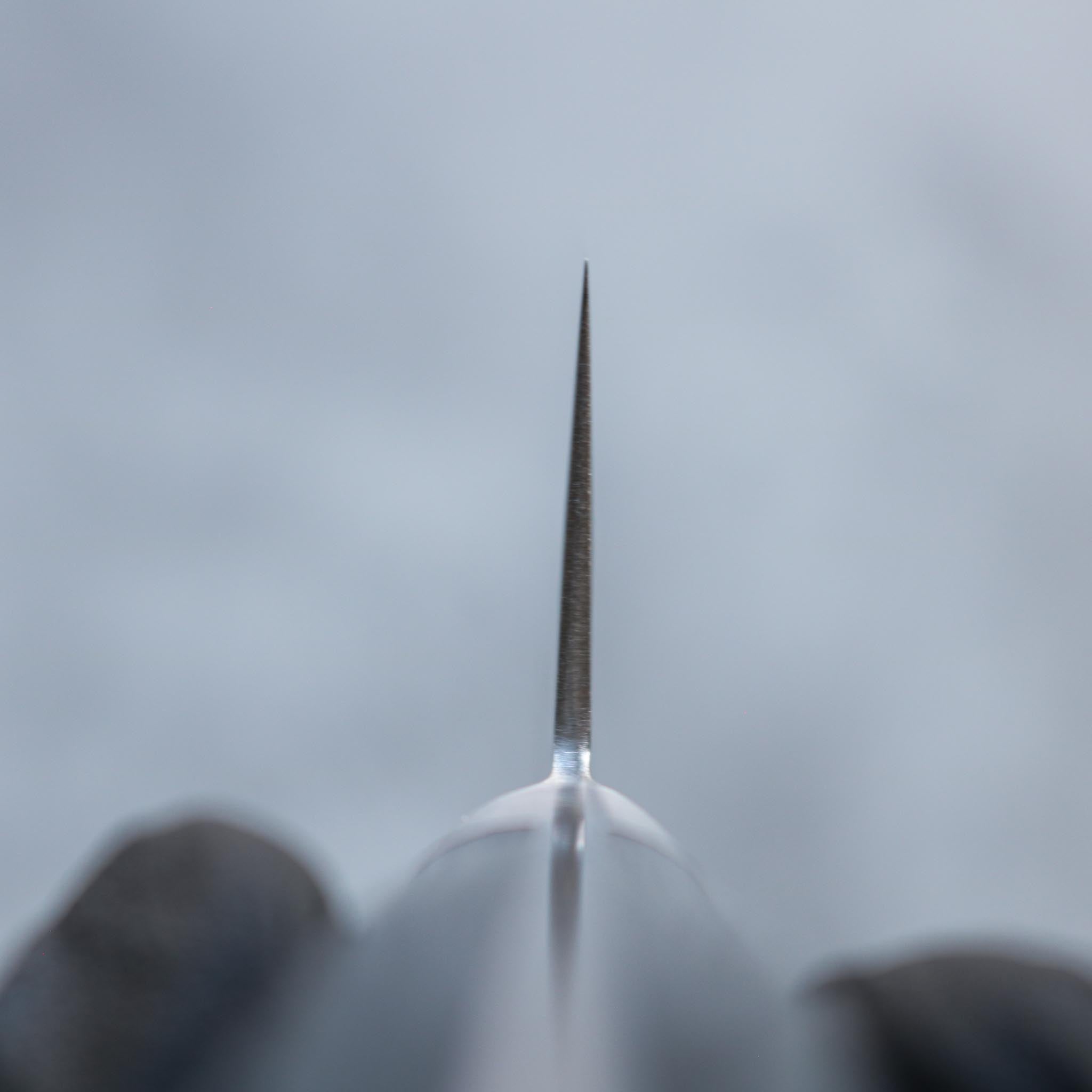 Tsunehisa VG-10 Damascus Sujihiki 240 mm Black Handle