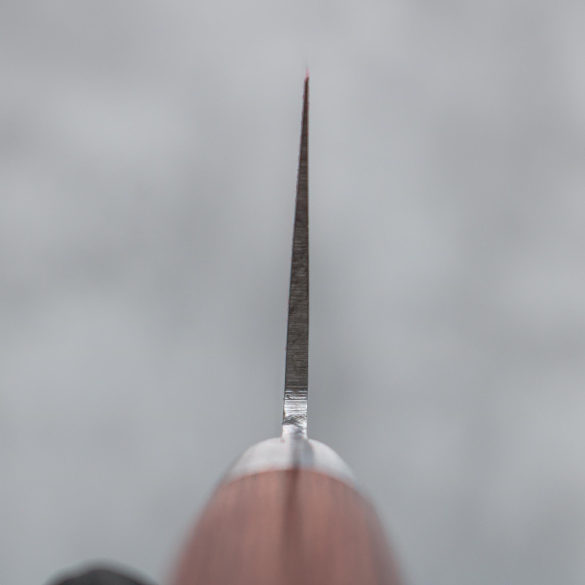 Ittetsu Migaki Gyuto 210 mm